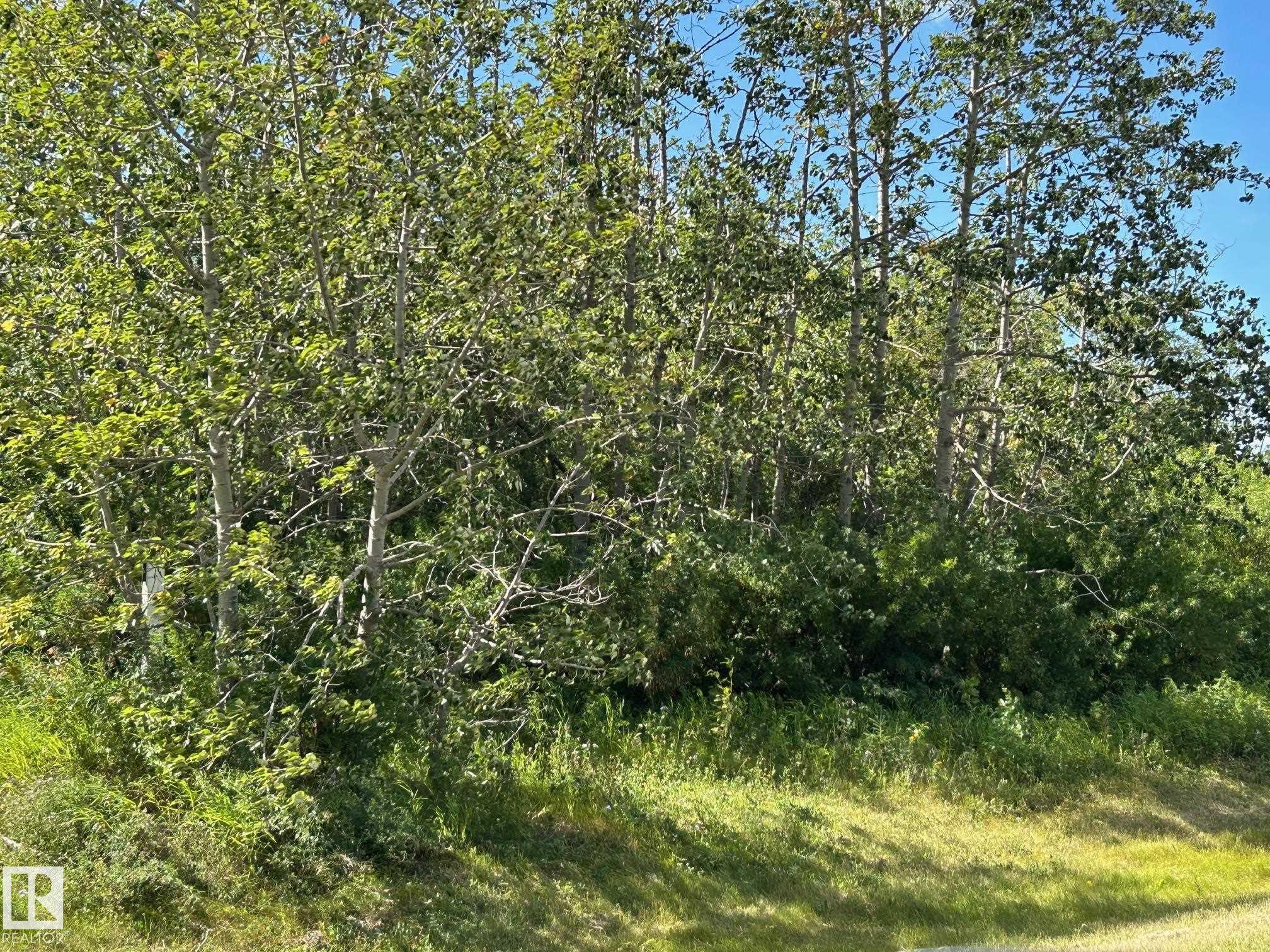 Photo 2 at 208 Oak Street, Pinewood, Rural Sturgeon County