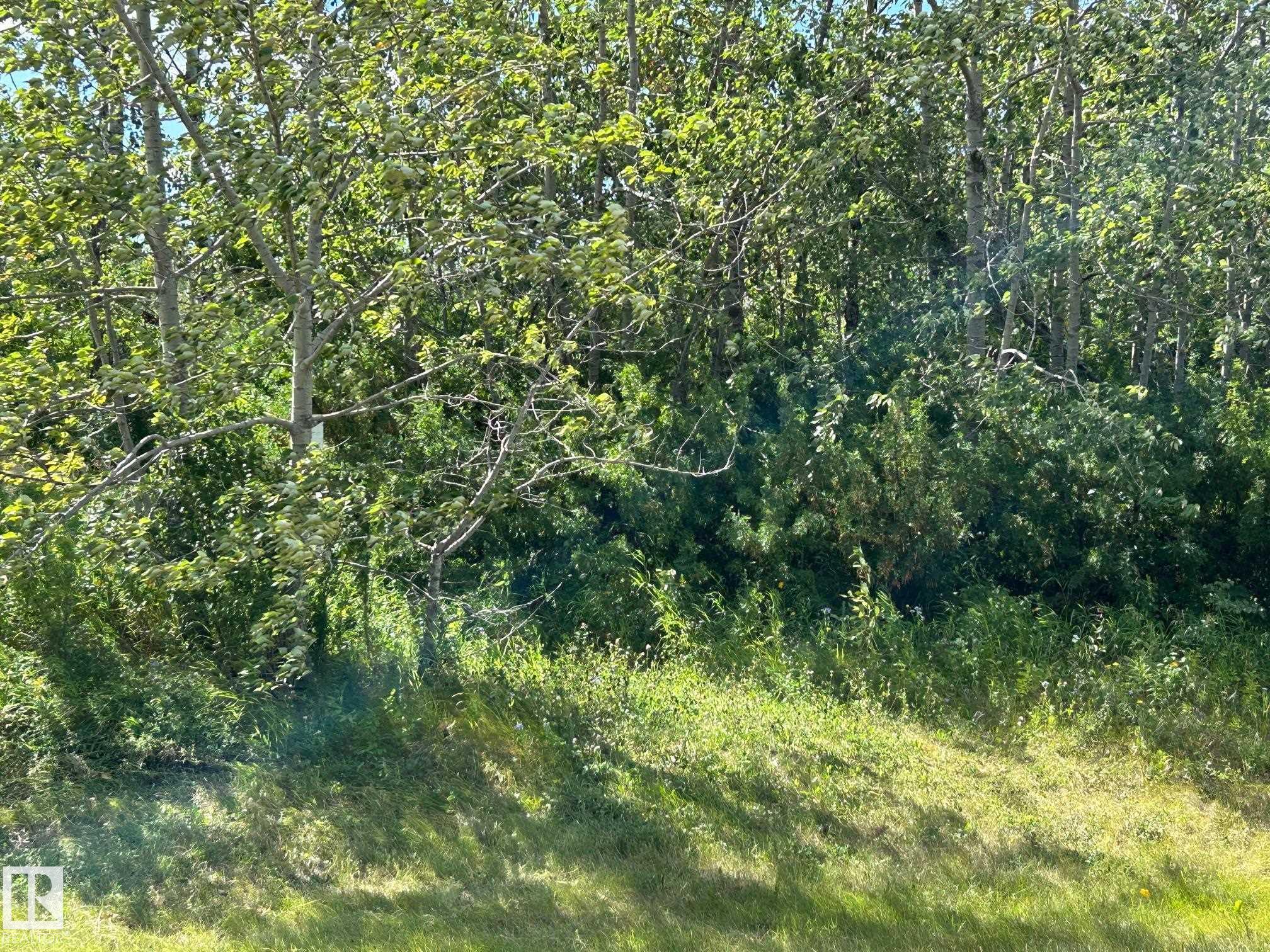 Photo 3 at 208 Oak Street, Pinewood, Rural Sturgeon County