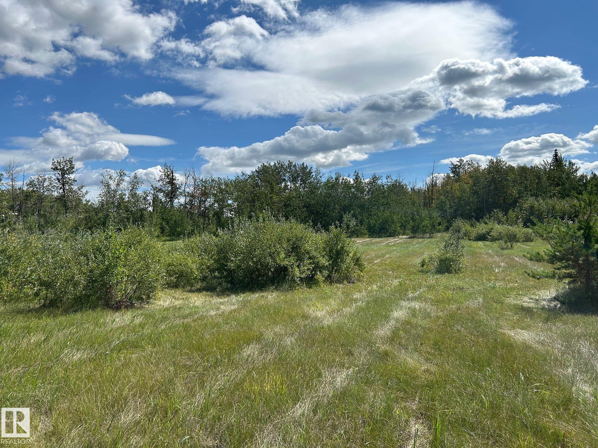 Photo 8 at 208 Oak Street, Pinewood, Rural Sturgeon County