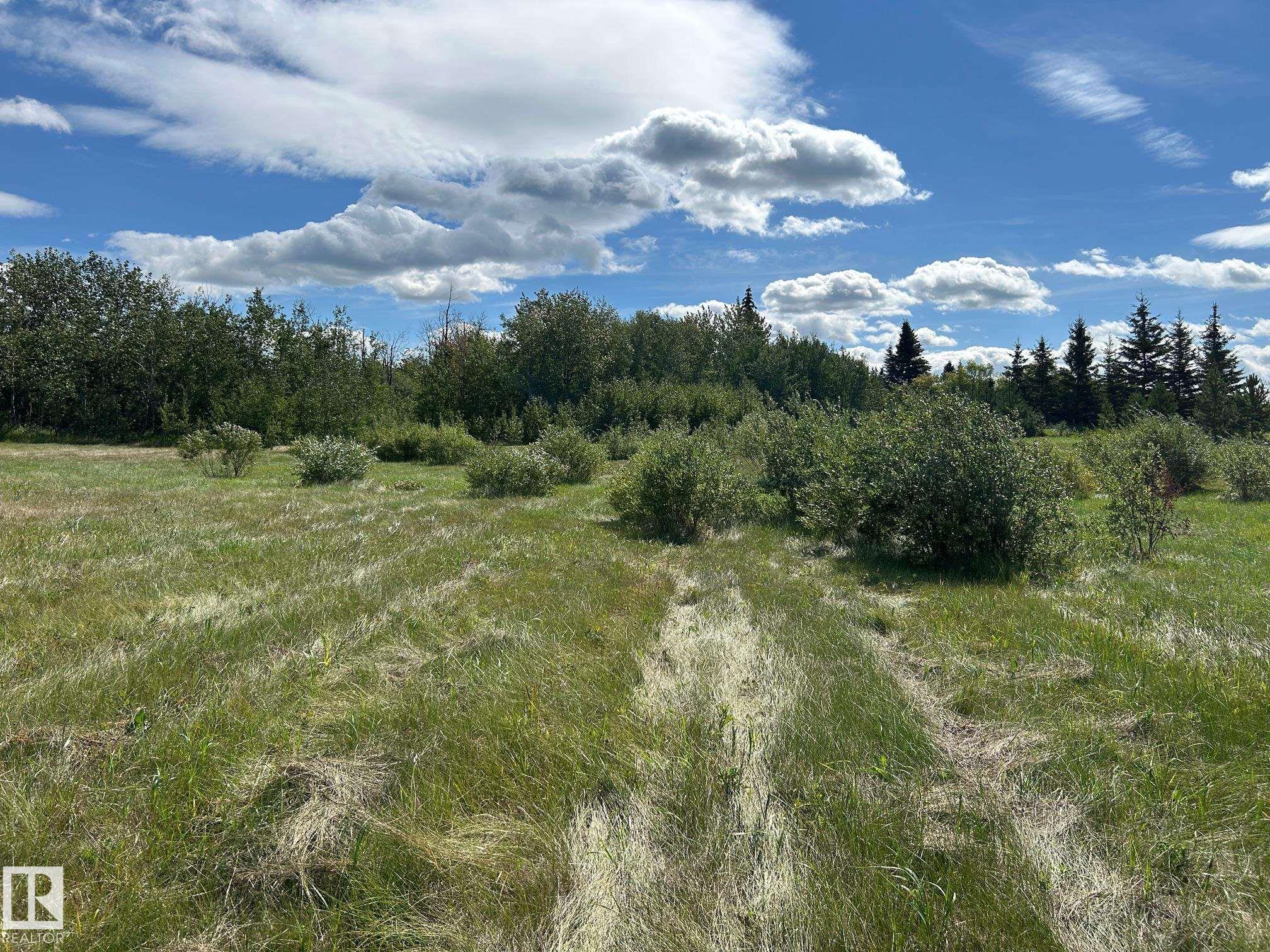 Photo 10 at 208 Oak Street, Pinewood, Rural Sturgeon County