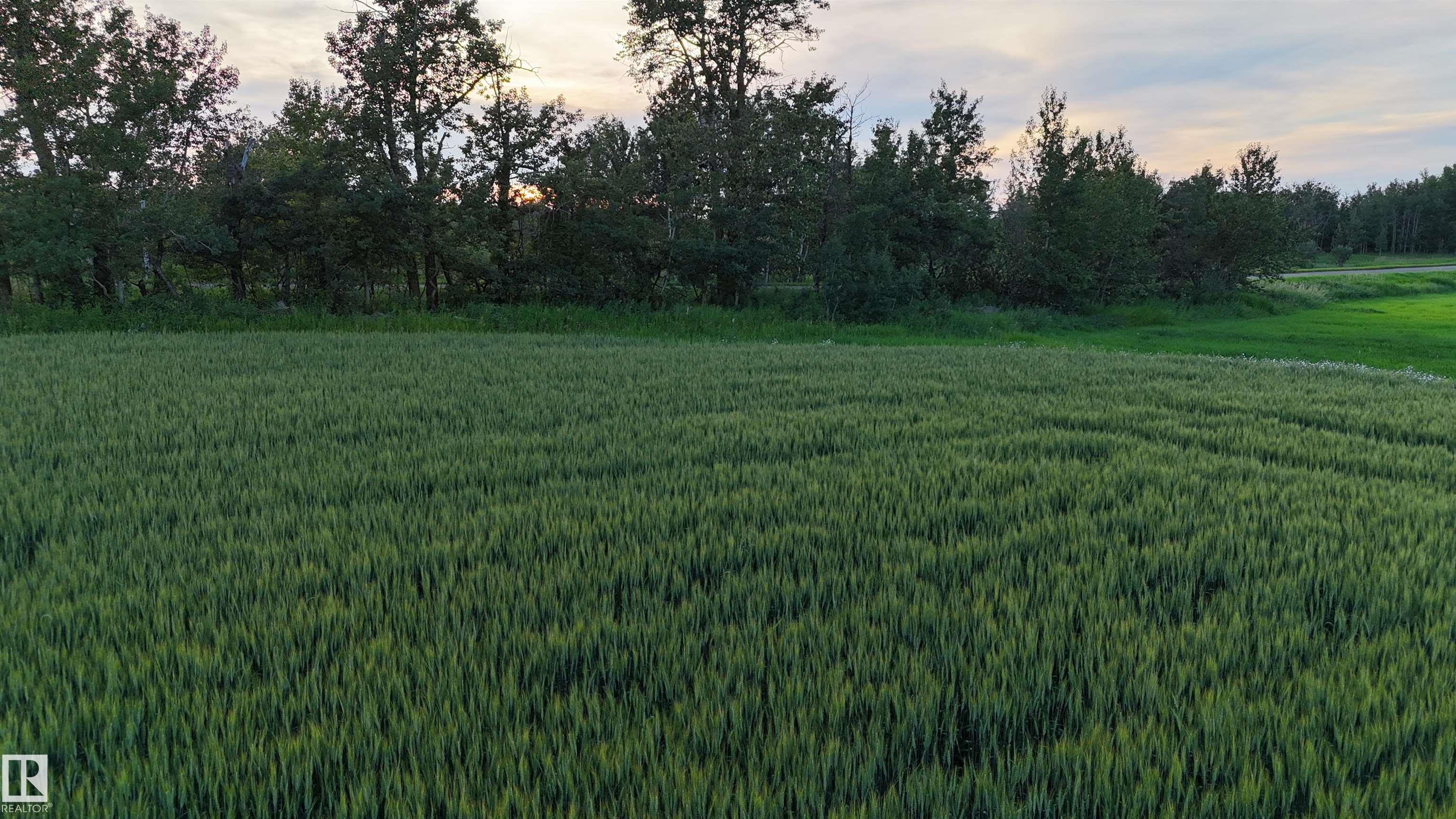 Photo 2 at 51411 Rr 233, None, Rural Strathcona County