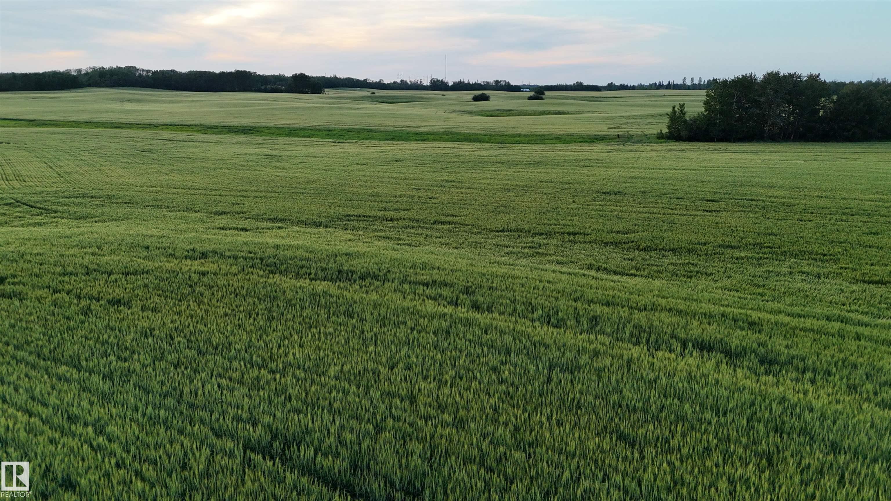 Photo 14 at 51411 Rr 233, None, Rural Strathcona County