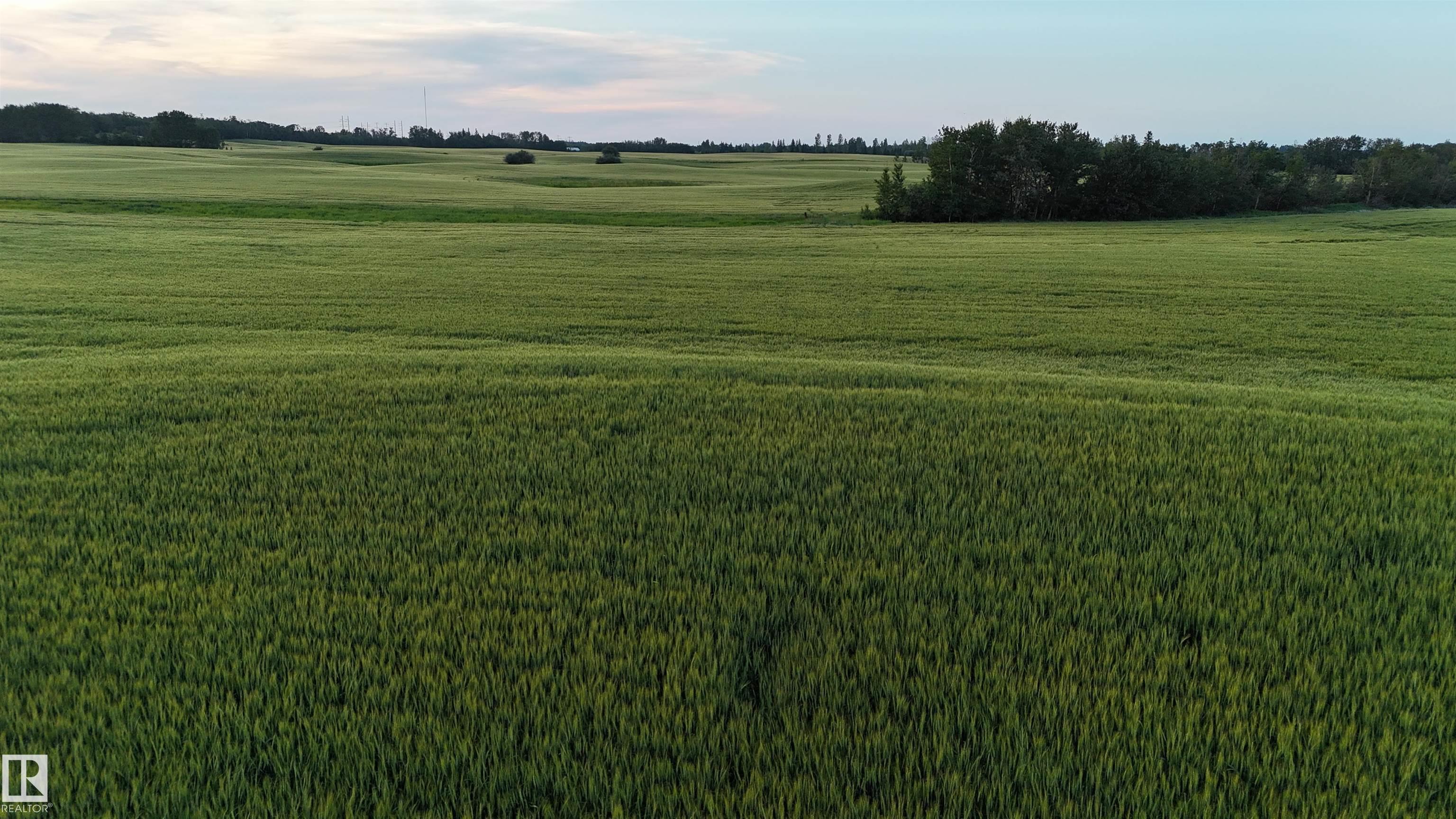 Photo 15 at 51411 Rr 233, None, Rural Strathcona County