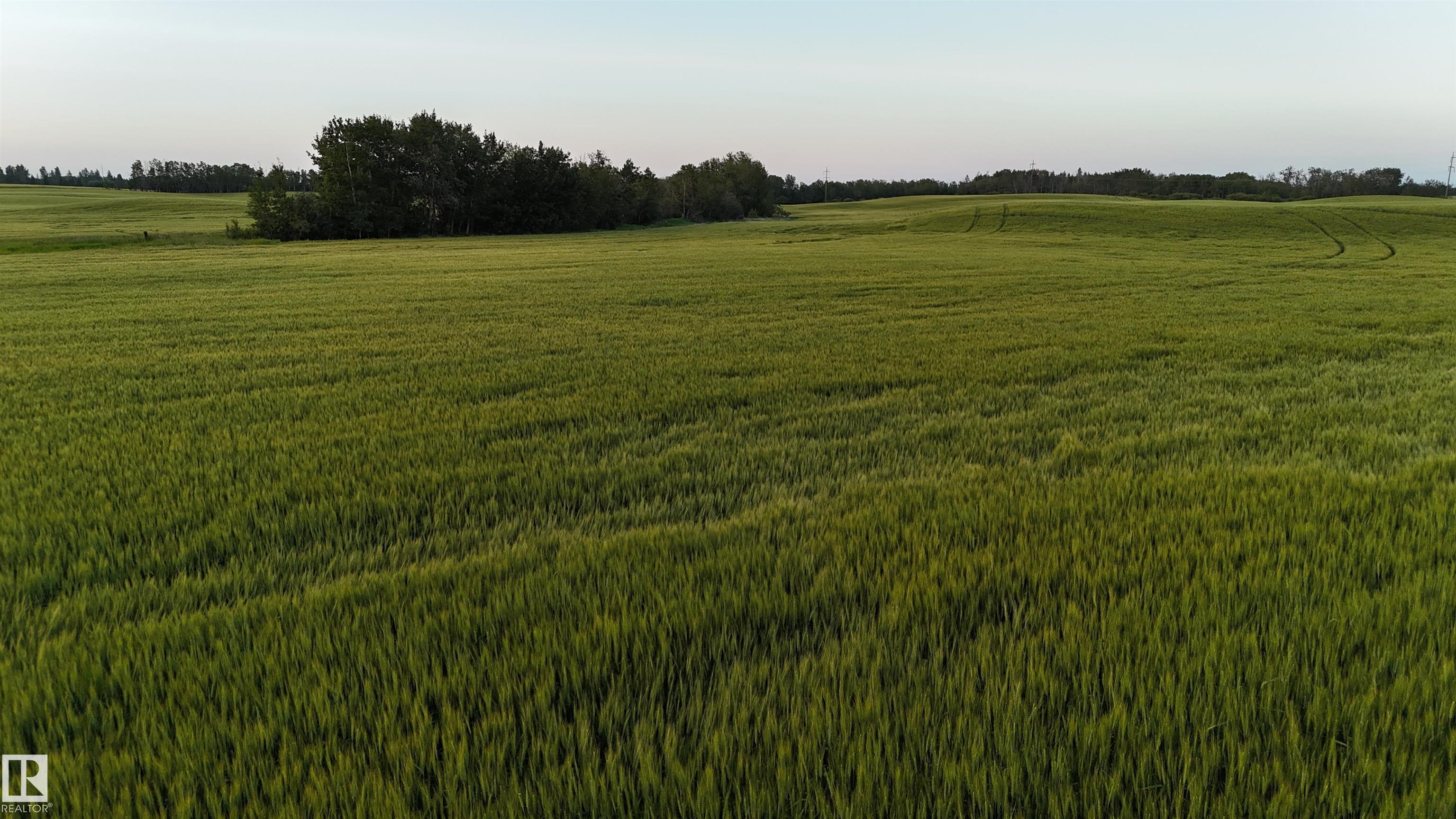 Photo 19 at 51411 Rr 233, None, Rural Strathcona County