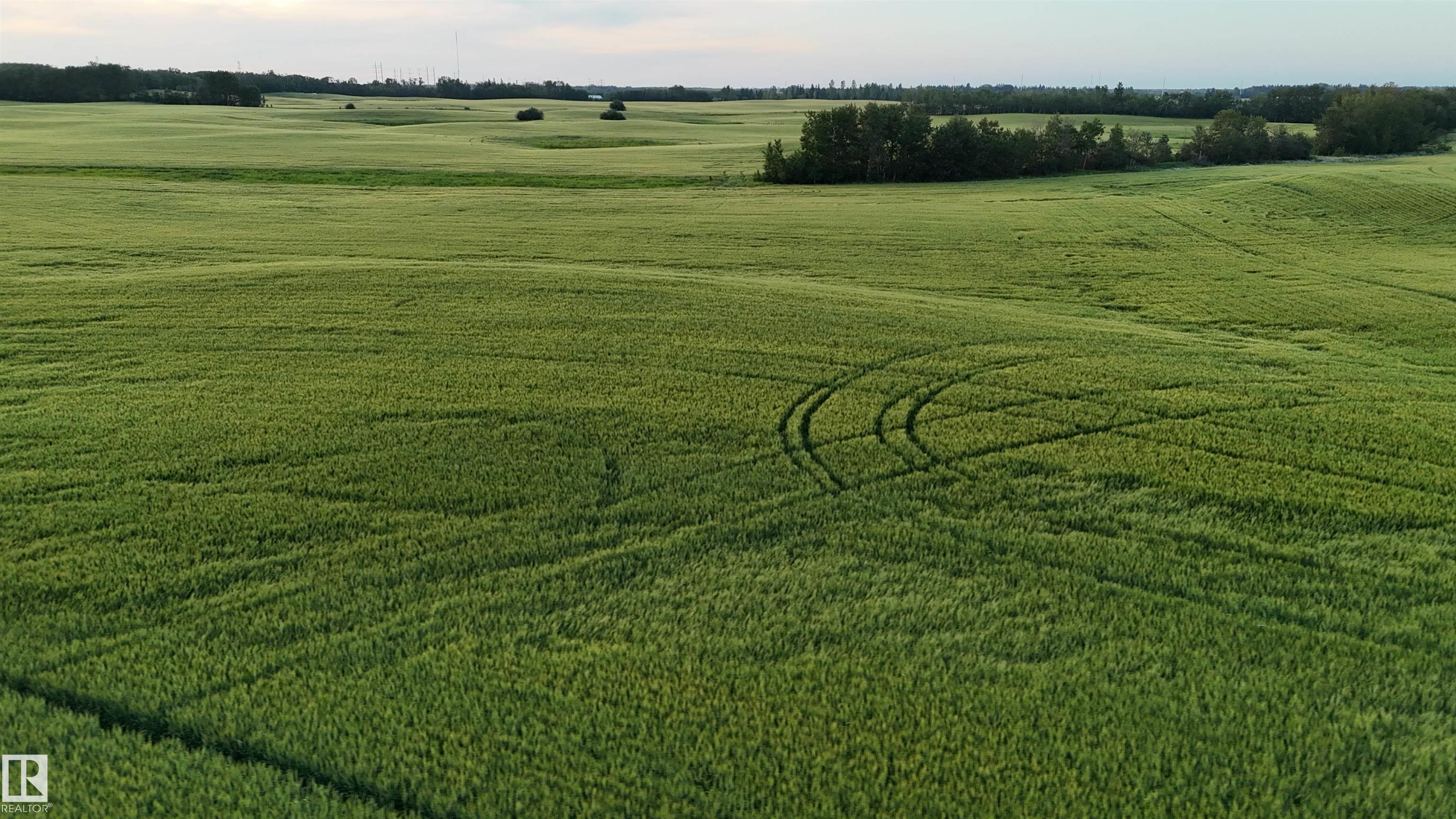 Photo 20 at 51411 Rr 233, None, Rural Strathcona County