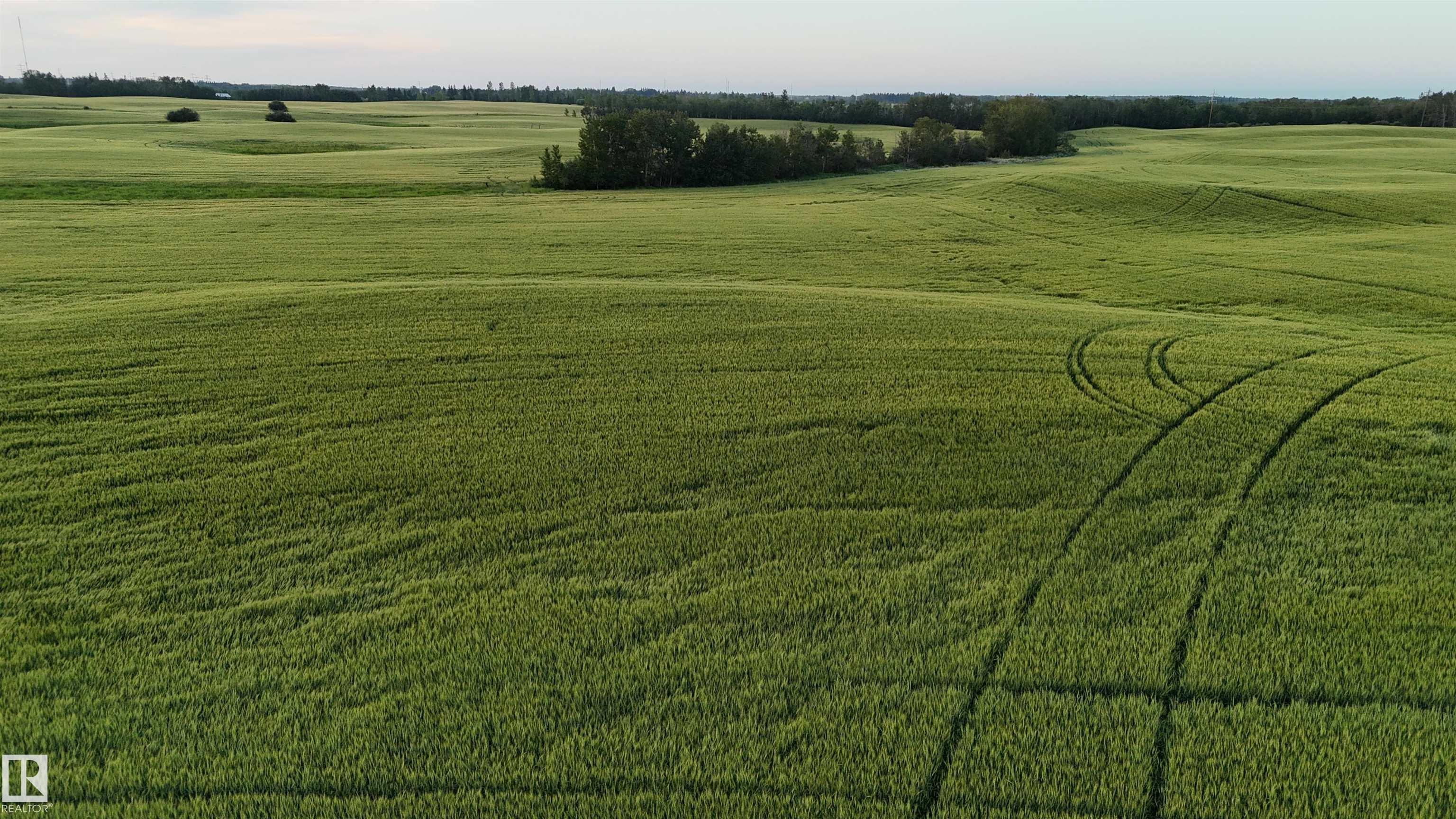 Photo 21 at 51411 Rr 233, None, Rural Strathcona County