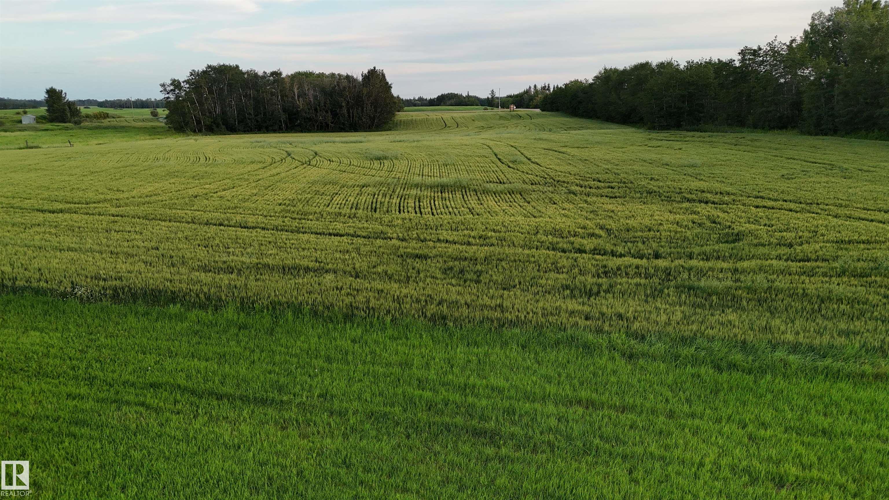 Photo 23 at 51411 Rr 233, None, Rural Strathcona County