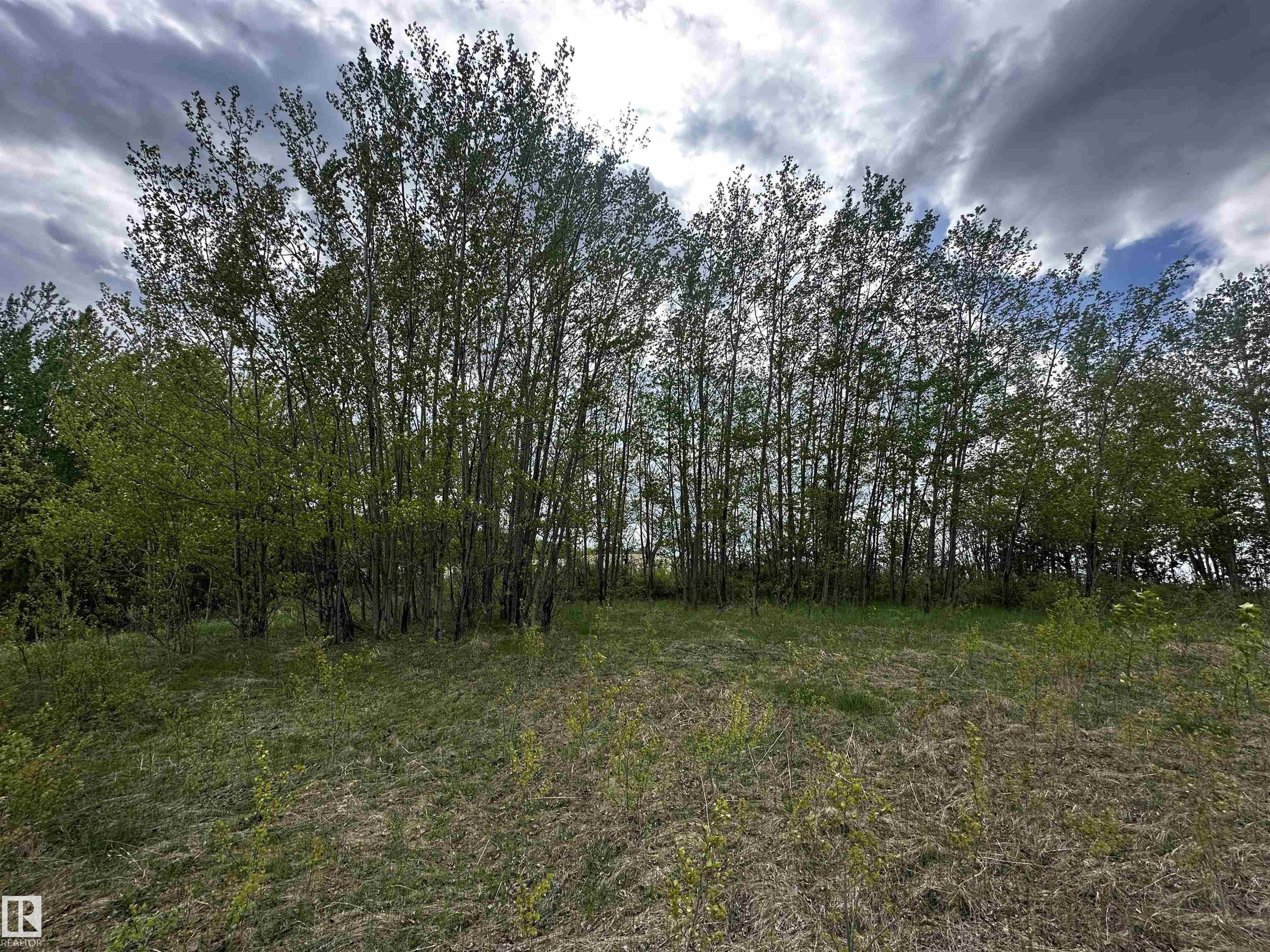 31 - 53120 Rge Road 15, The Views at Willow Peak, Rural Parkland County 
