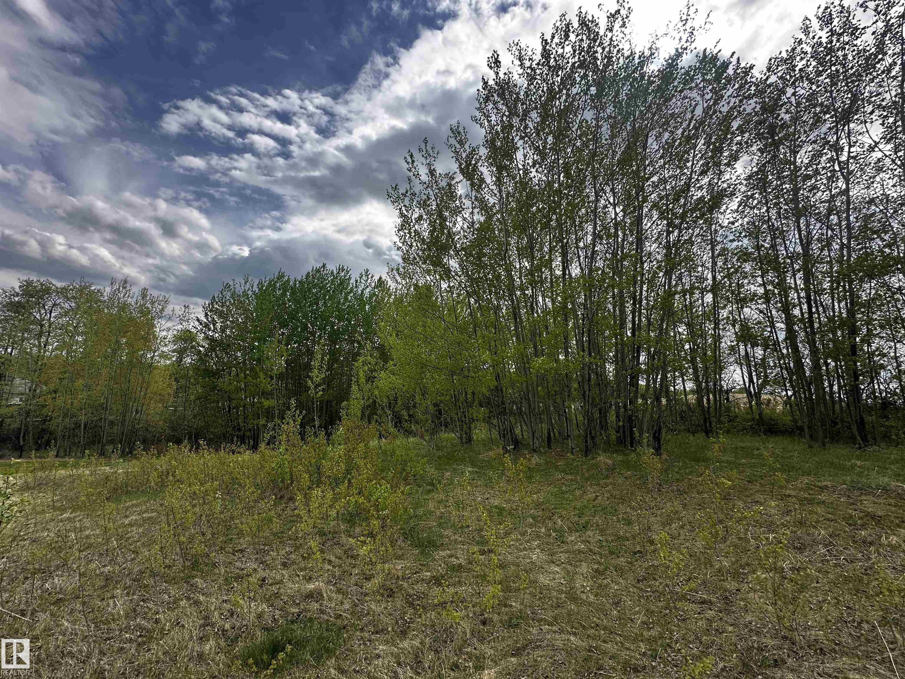 Photo 5 at 31 - 53120 Rge Road 15, The Views at Willow Peak, Rural Parkland County