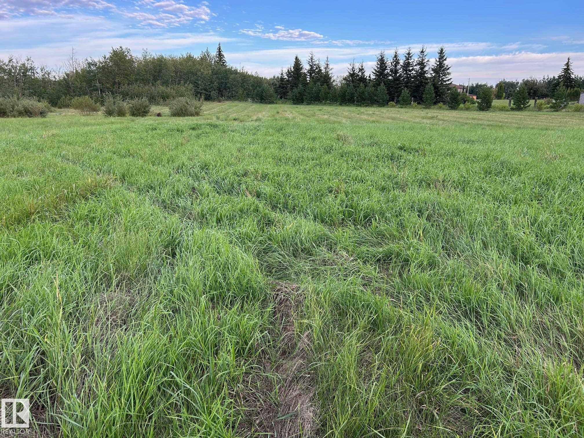 Photo 8 at 206 - 23229 Sh 651, Pinewood, Rural Sturgeon County