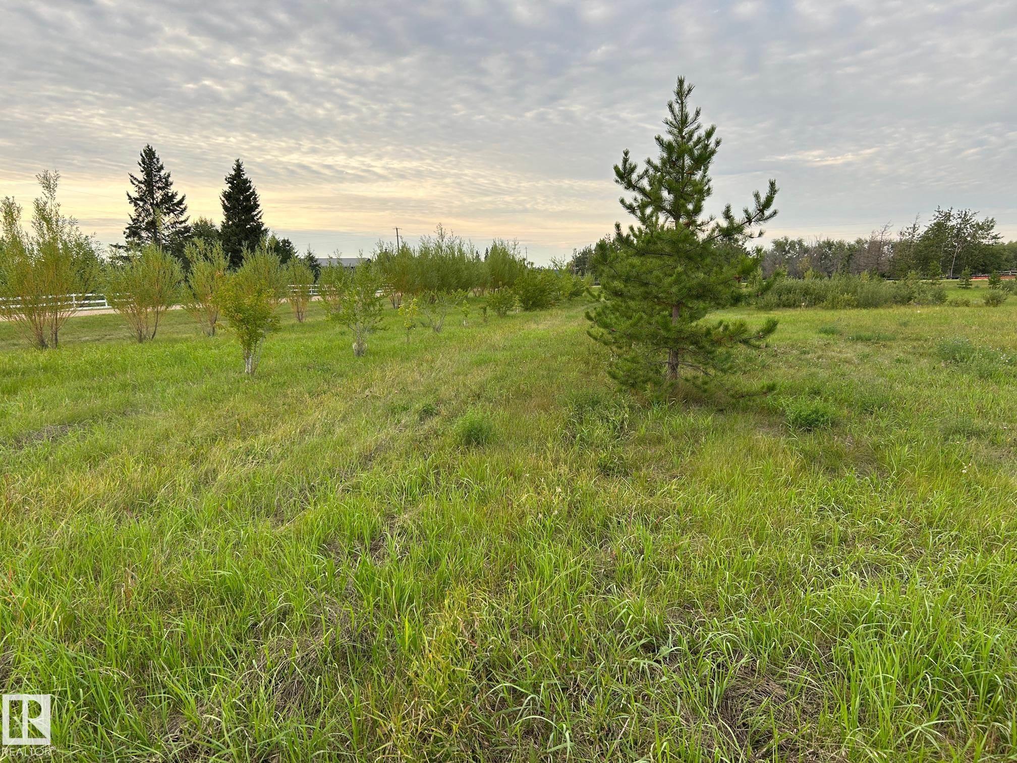 Photo 10 at 206 - 23229 Sh 651, Pinewood, Rural Sturgeon County