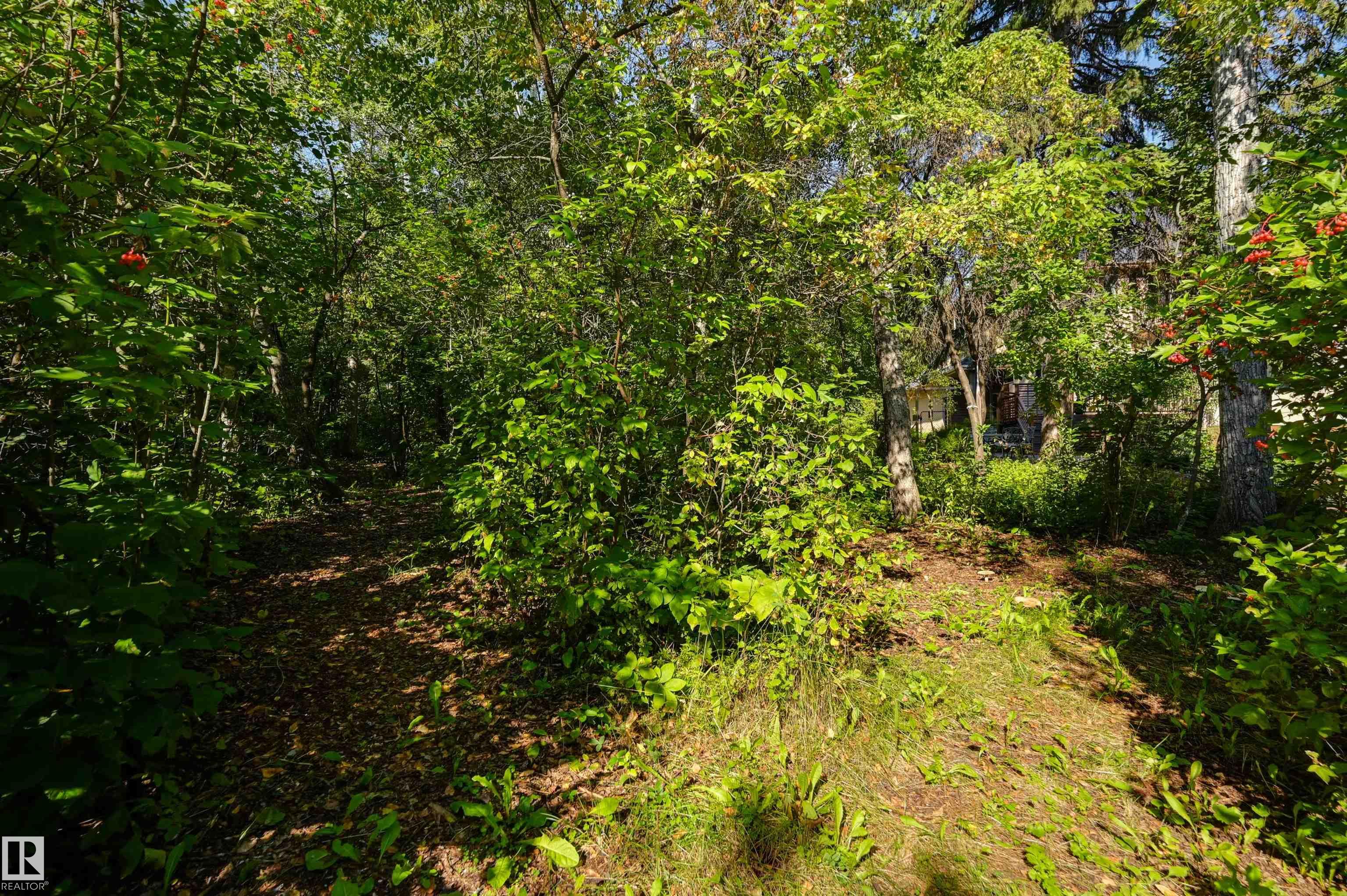 Photo 50 at 11 - 27107 Twp Road 510, Mistik Ridge, Rural Parkland County