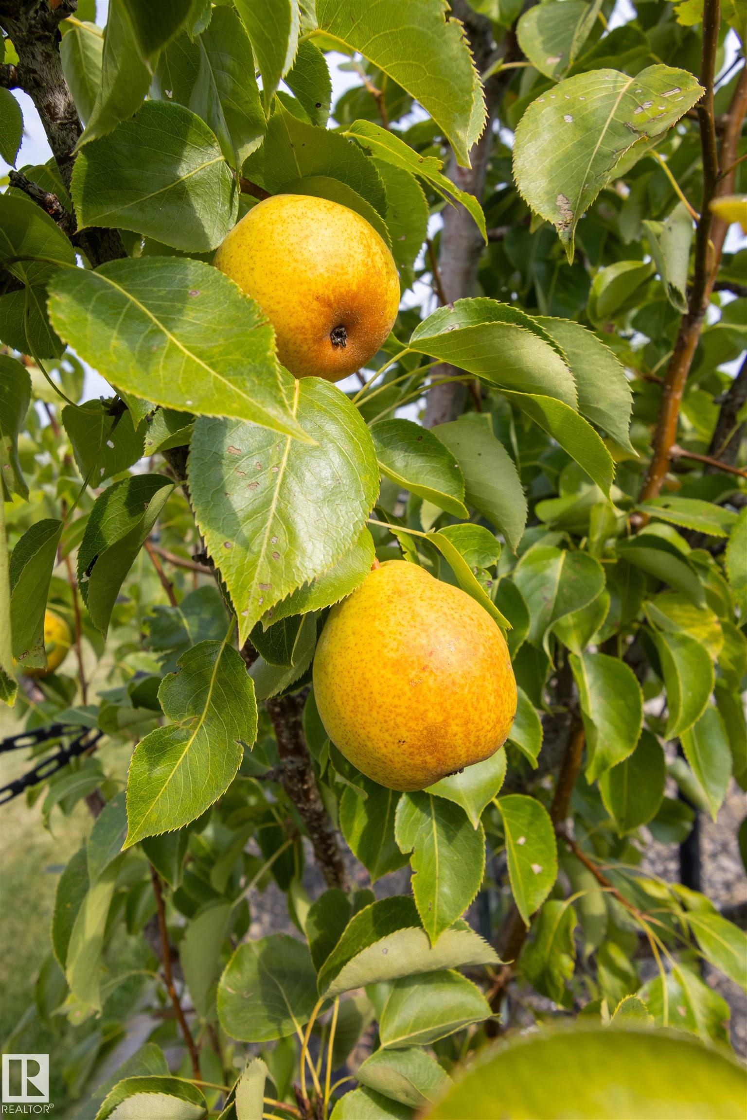 http://cdnparap120.paragonrels.com/ParagonImages/Property/p12/RAE/225370233/43/0/0/495b7172be1ab2b38f9484738438d1e9/1/25e0a8f9a5bb1f99bb57a8a046f6e0a9/225370233-5ecfcd5e-5d1b-4aa2-b738-809997bb16cc.JPG
