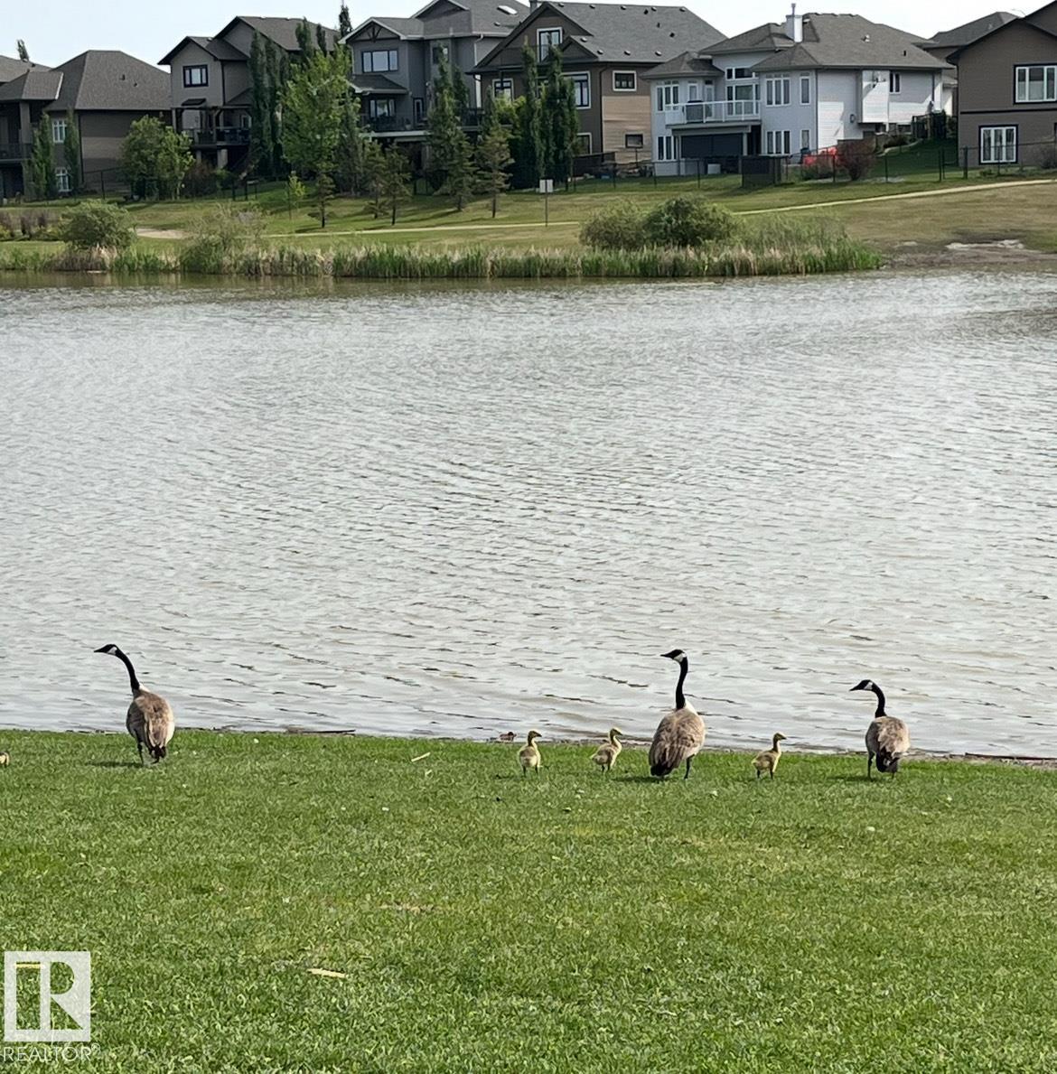 Photo 66 at 57 Dalquist Bay, Meadowview Park, Leduc