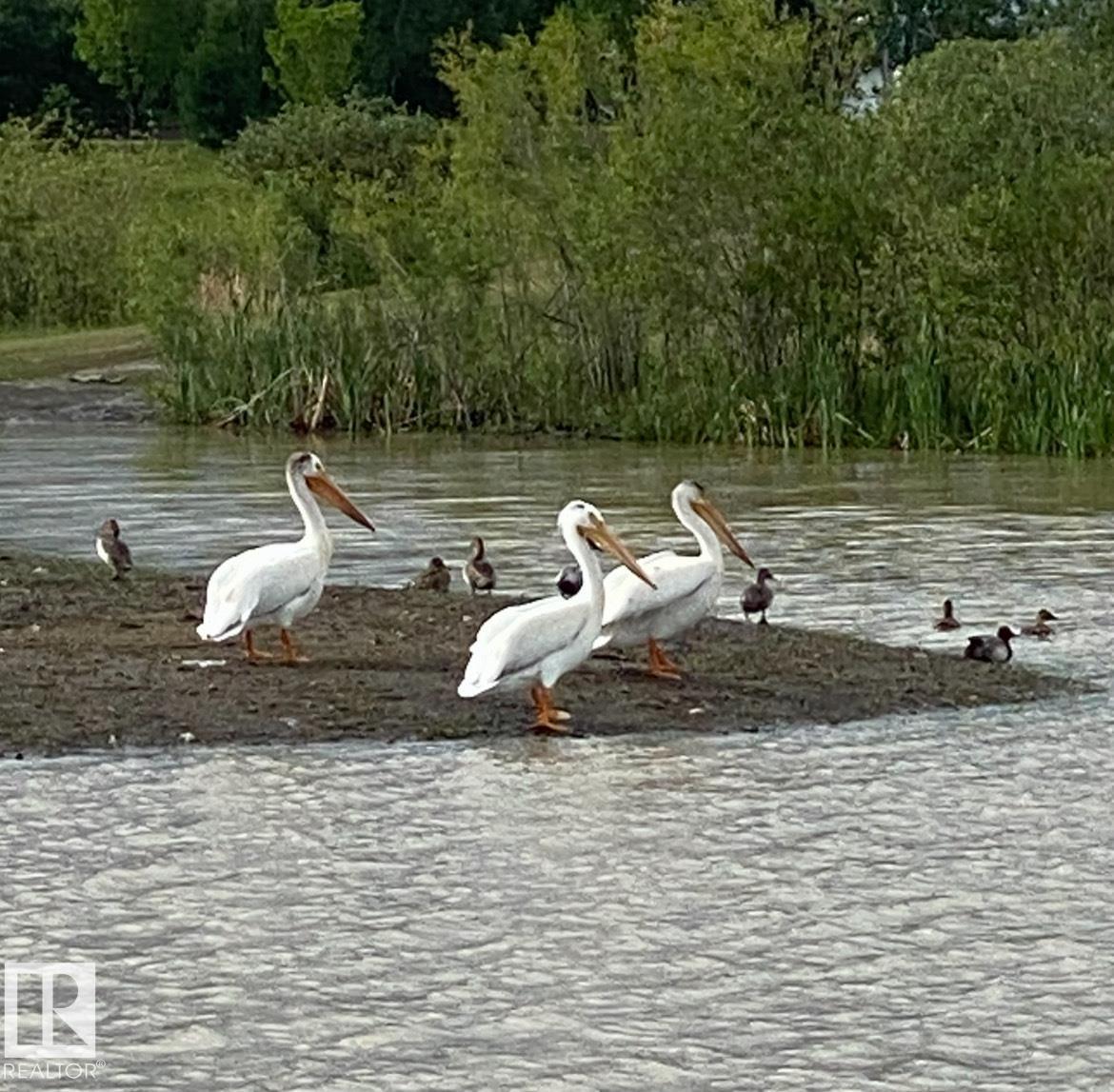 Photo 67 at 57 Dalquist Bay, Meadowview Park, Leduc