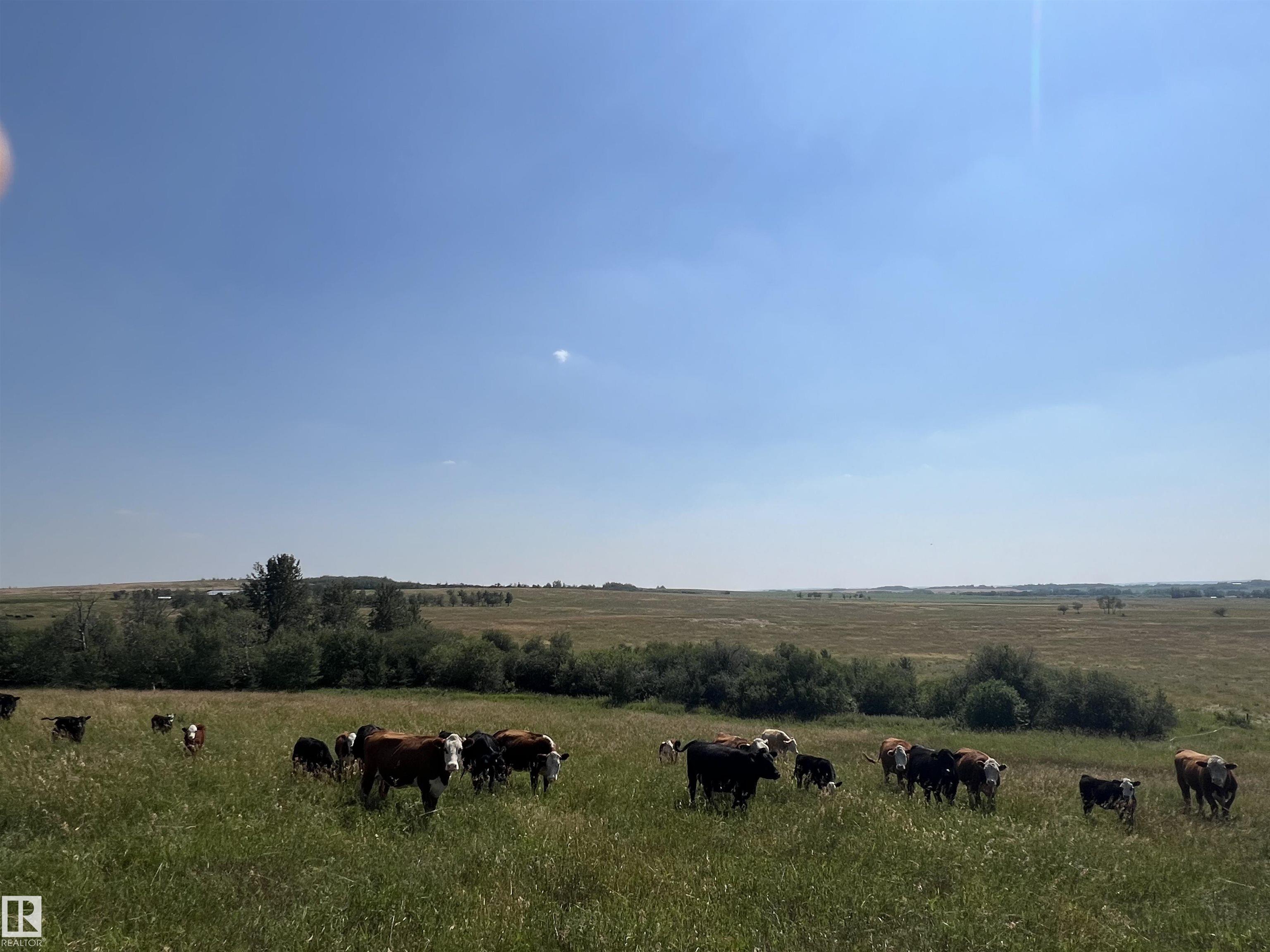Photo 41 at 55107 Rge Rd 271, None, Rural Sturgeon County