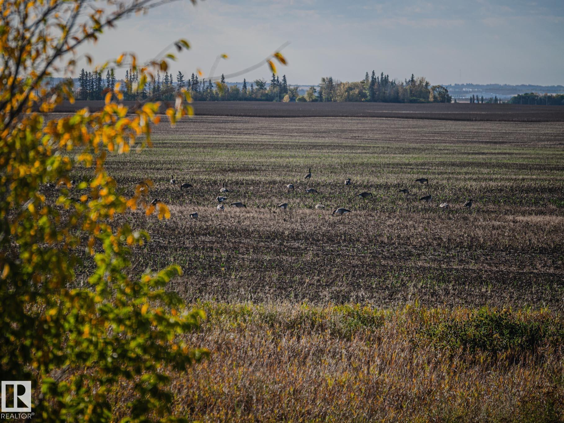 Photo 7 at 261 Westbrook Wynd, Westpark, Fort Saskatchewan