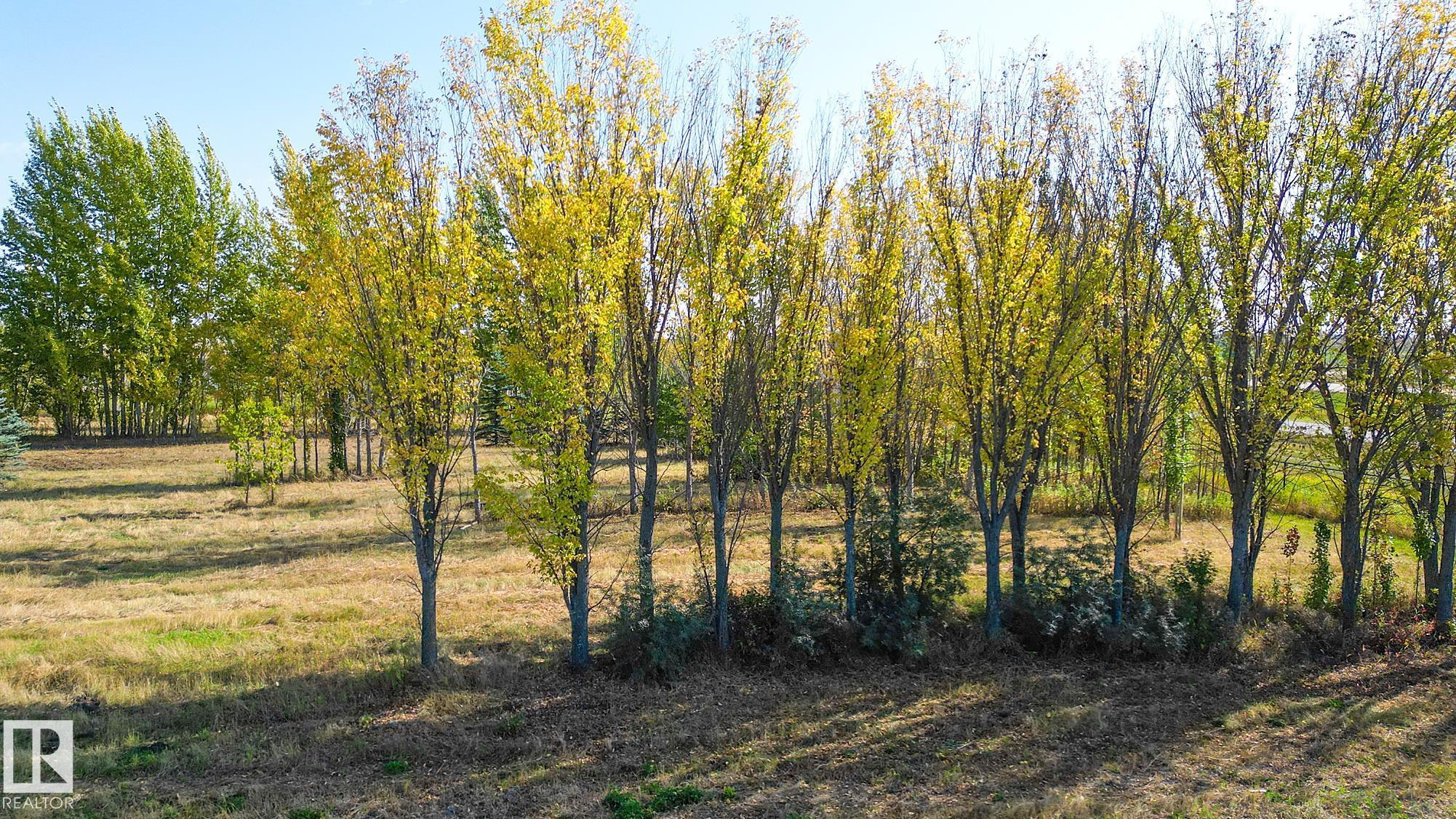 Photo 13 at 1020 Highway 16, None, Rural Parkland County