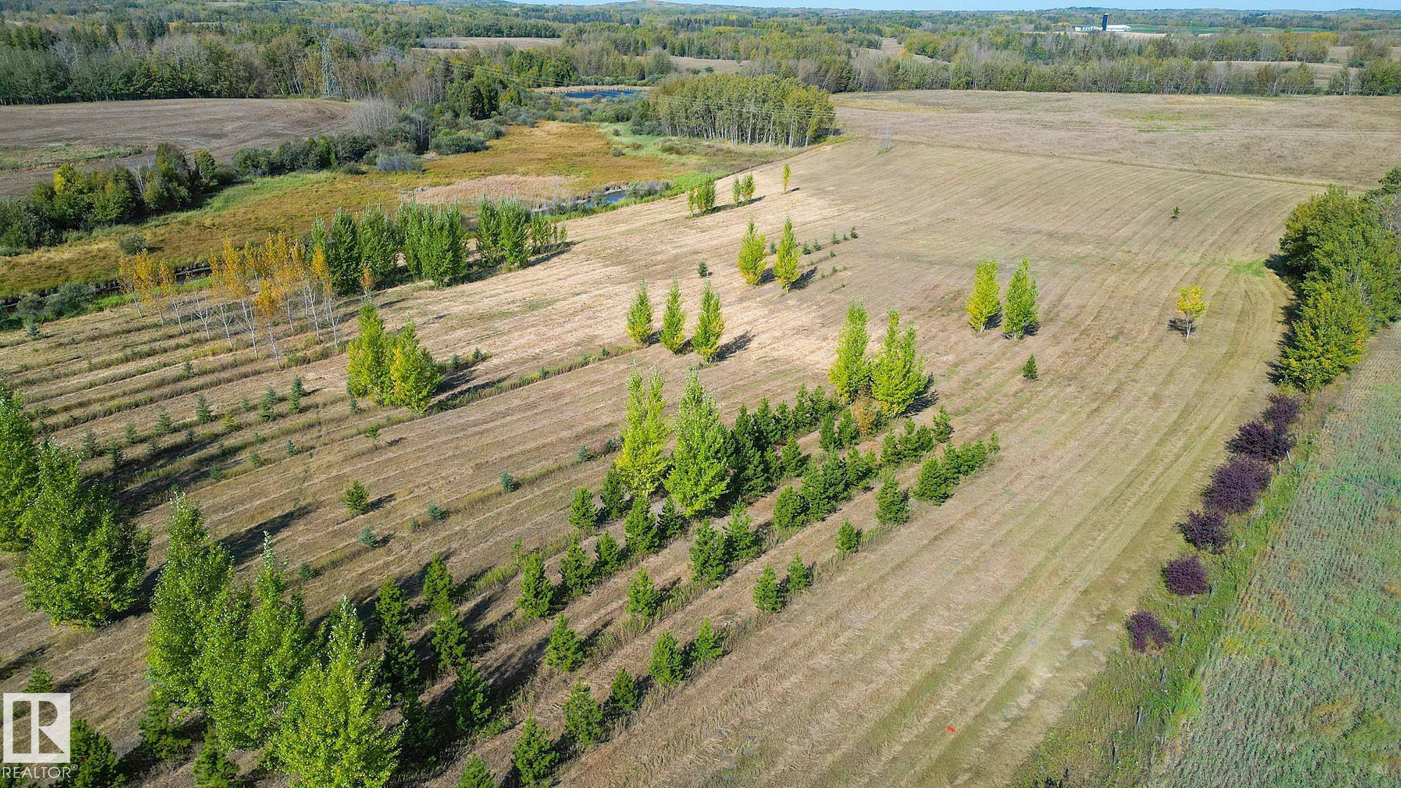 Photo 29 at 1020 Highway 16, None, Rural Parkland County