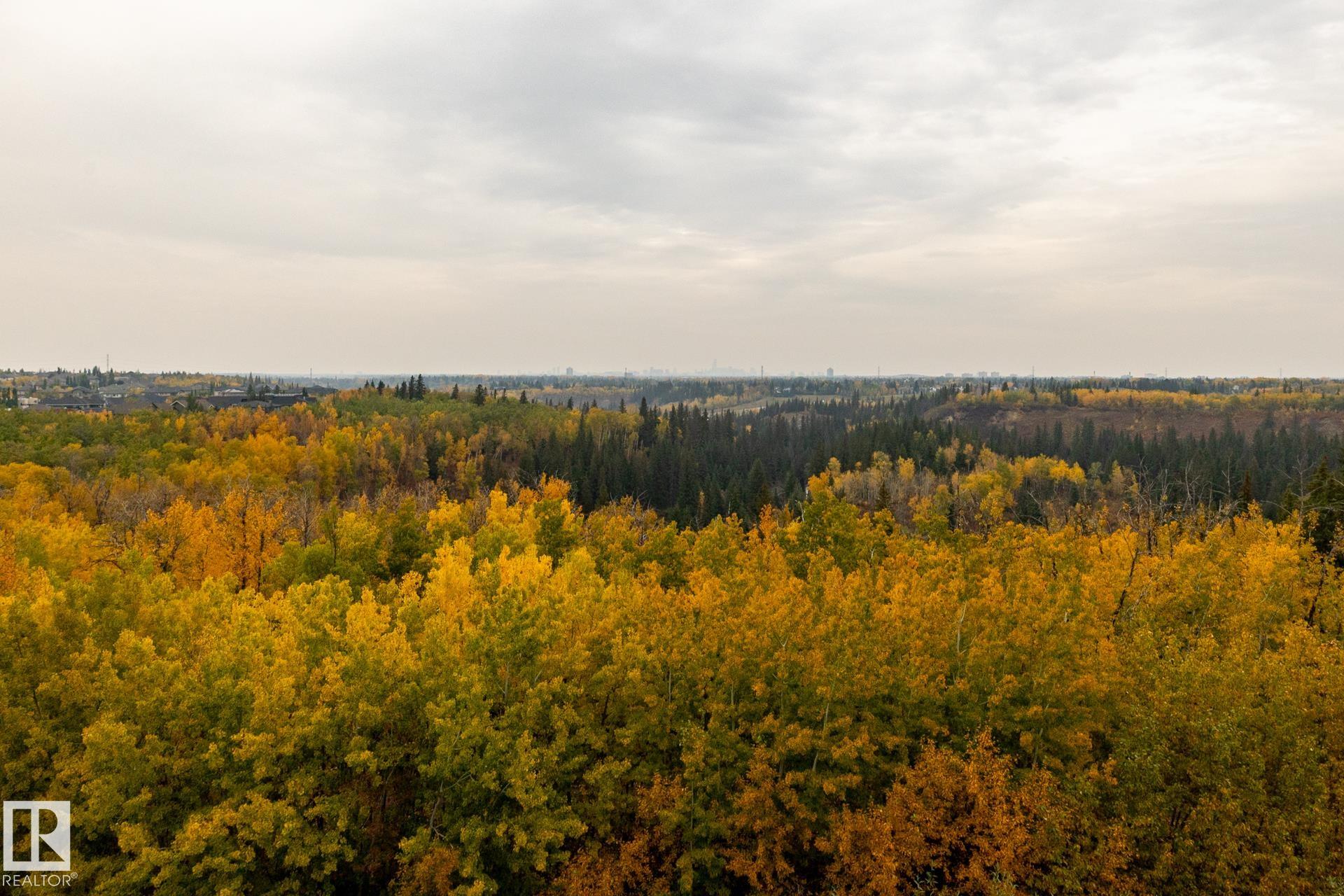 http://cdnparap120.paragonrels.com/ParagonImages/Property/p12/RAE/225372978/70/0/0/95bc17f43e1b33db5543f26c71a1203a/1/ca391154f5795a1173f3bb24d961f85f/225372978-9754be78-927d-42b2-866b-460593588327.JPG