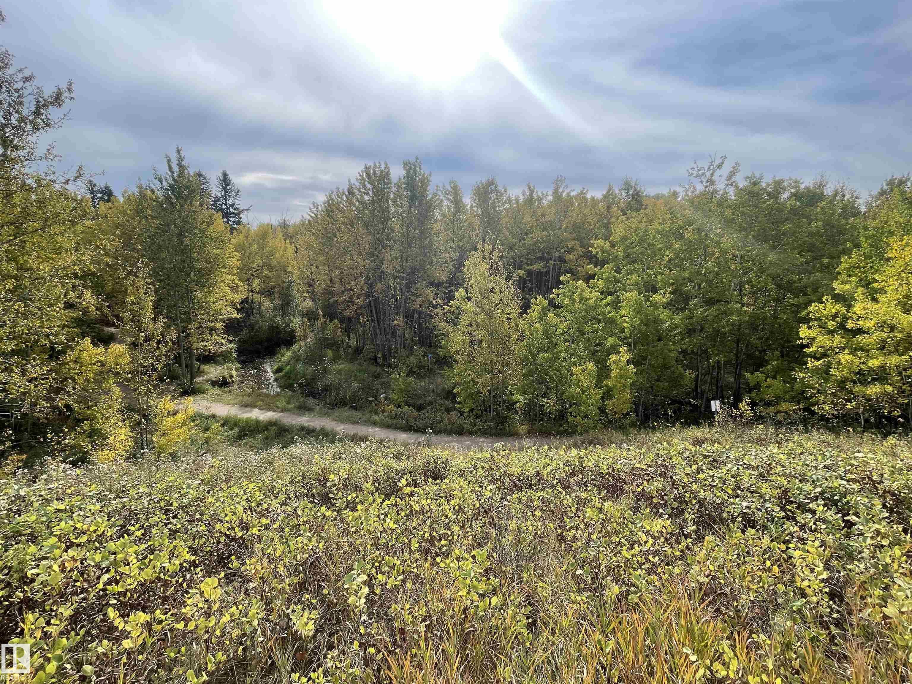 Photo 73 at 4631 43 Avenue NW, Jackson Heights, Edmonton