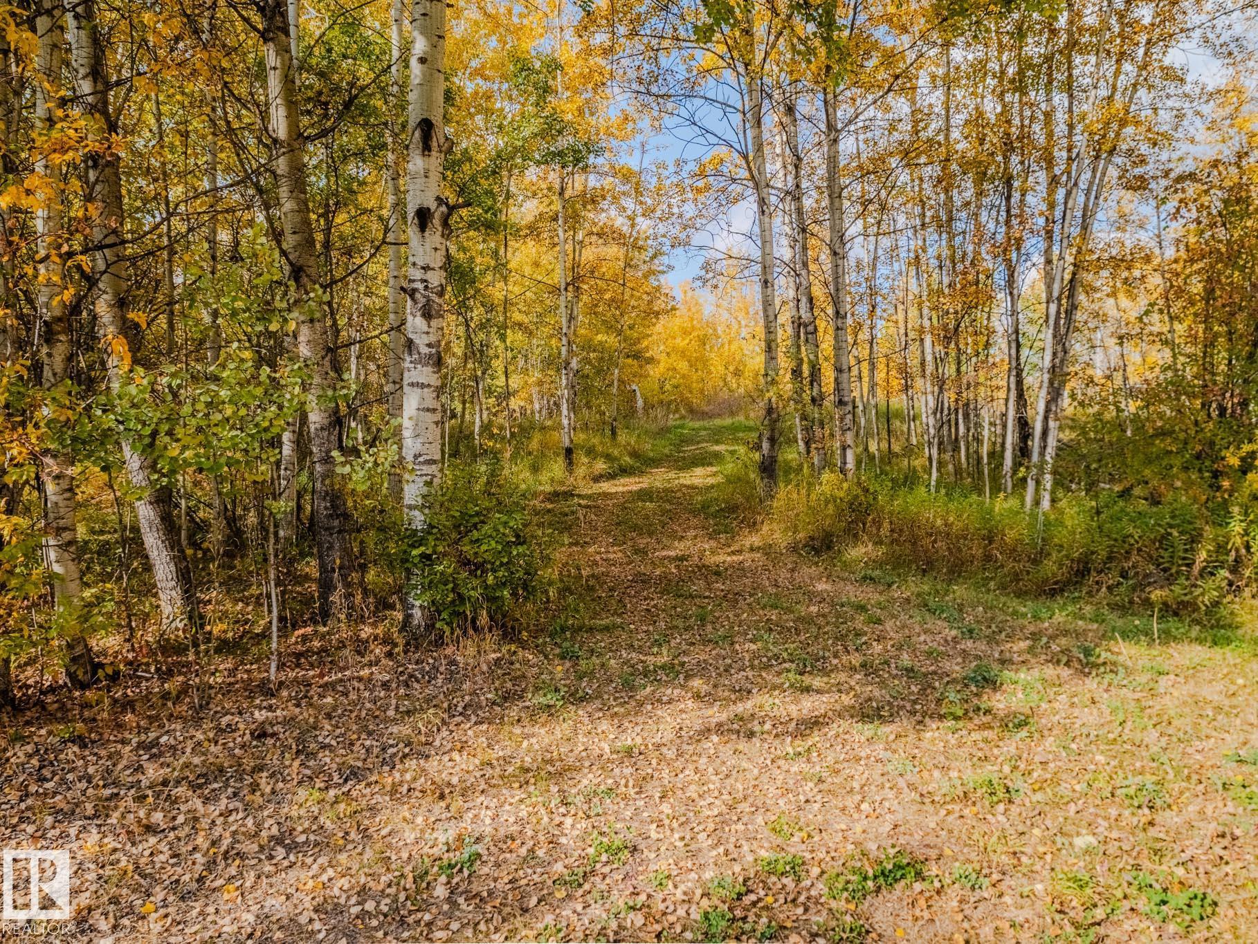Photo 66 at 1524 Parkland Drive SW, Scenic View Estates, Rural Parkland County