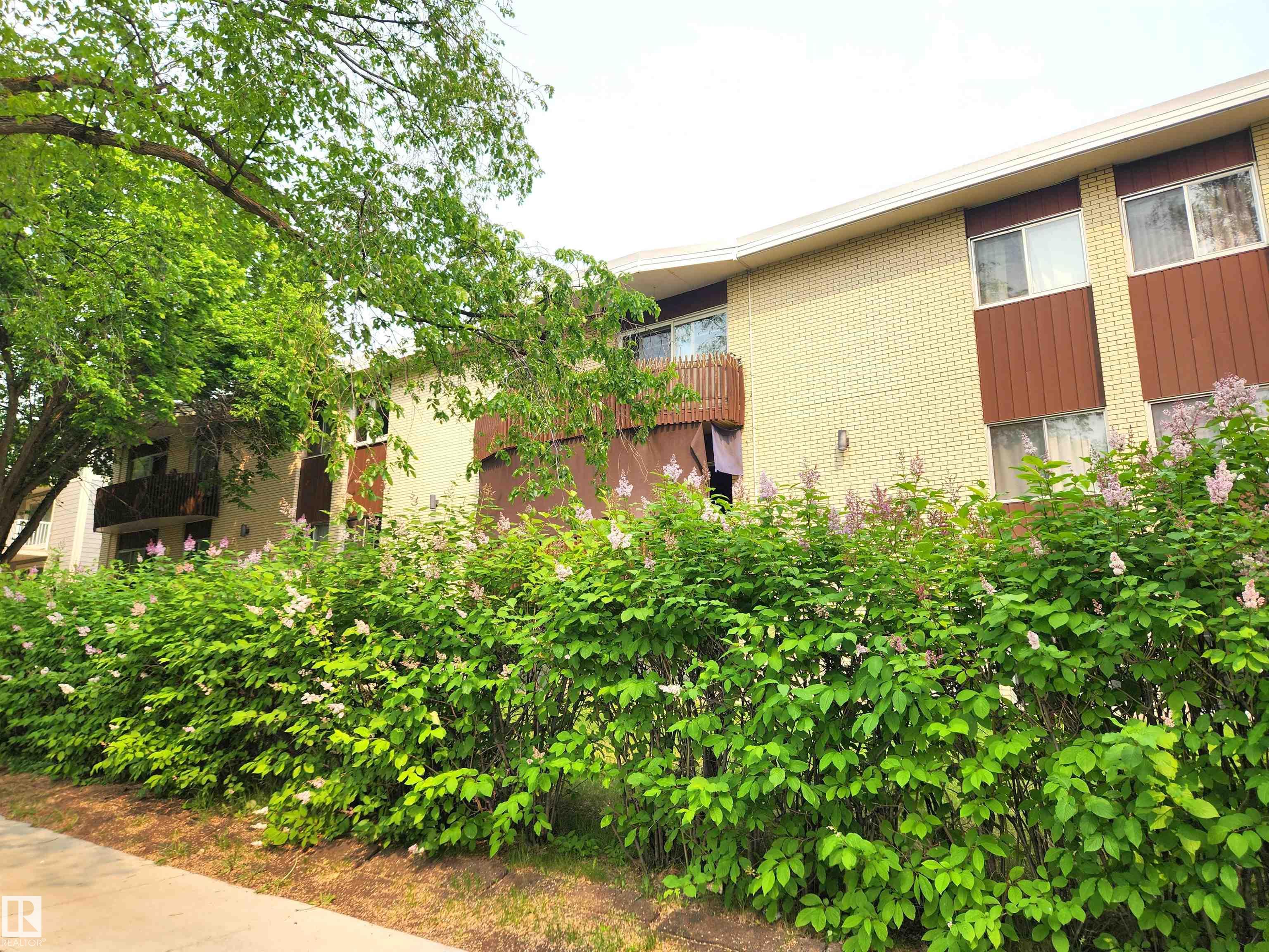 305 - 11907 81 Street NW, Eastwood, Edmonton 