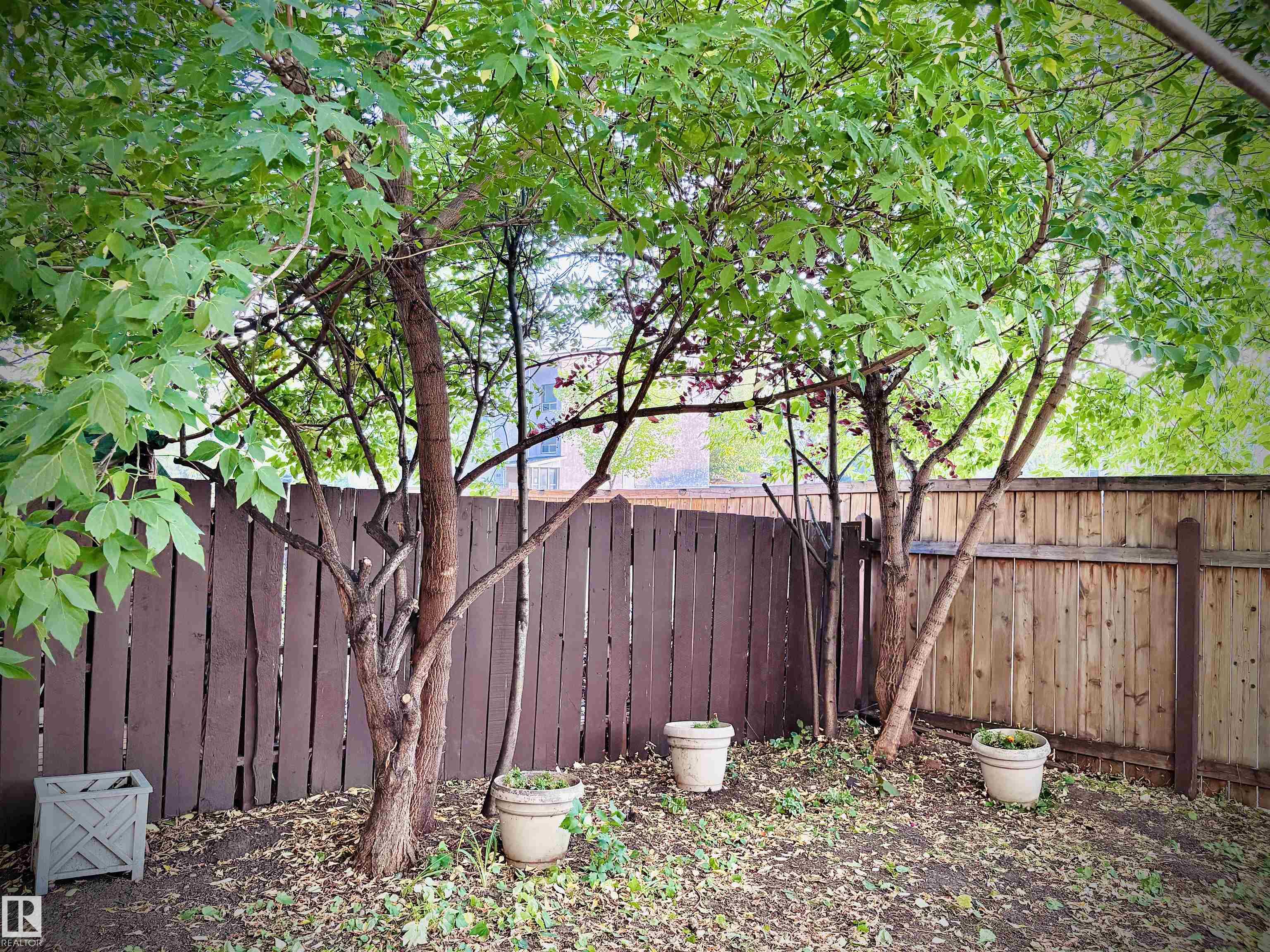 Photo 41 at 3557 Mill Woods Road E NW, Minchau, Edmonton