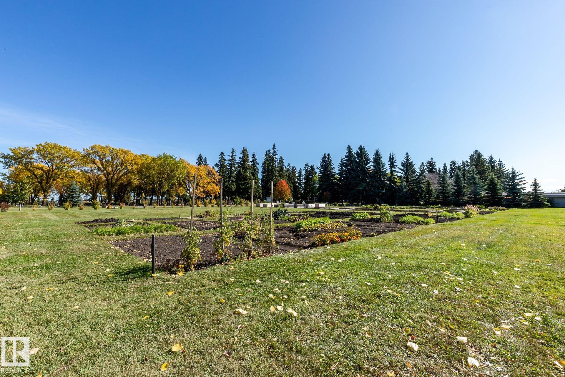 Photo 49 at 302 - 78 Mckenney Avenue, Mission, St. Albert