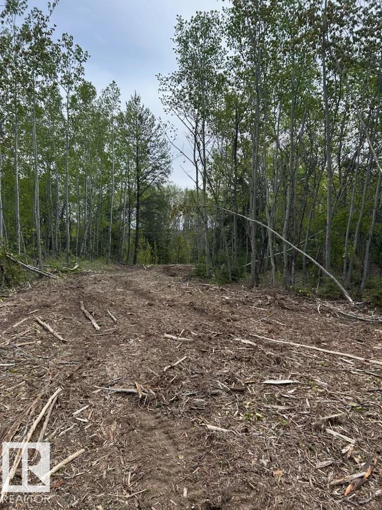Photo 11 at 26414 Twp Road 515 A, Alpine Acres, Rural Parkland County
