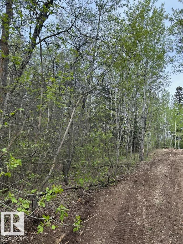 Photo 12 at 26414 Twp Road 515 A, Alpine Acres, Rural Parkland County