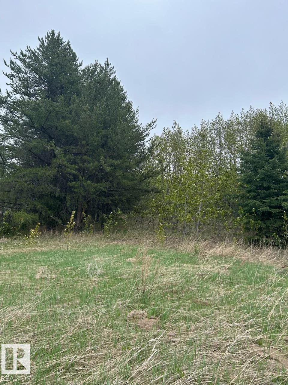 Photo 6 at 26414 Twp Road 515 A, Alpine Acres, Rural Parkland County