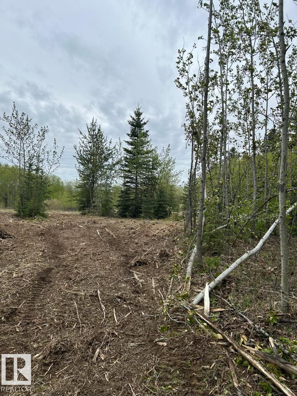 Photo 9 at 26414 Twp Road 515 A, Alpine Acres, Rural Parkland County