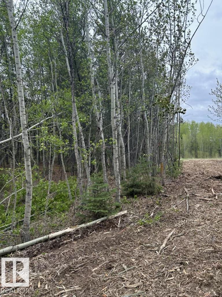 Photo 10 at 26414 Twp Road 515 A, Alpine Acres, Rural Parkland County