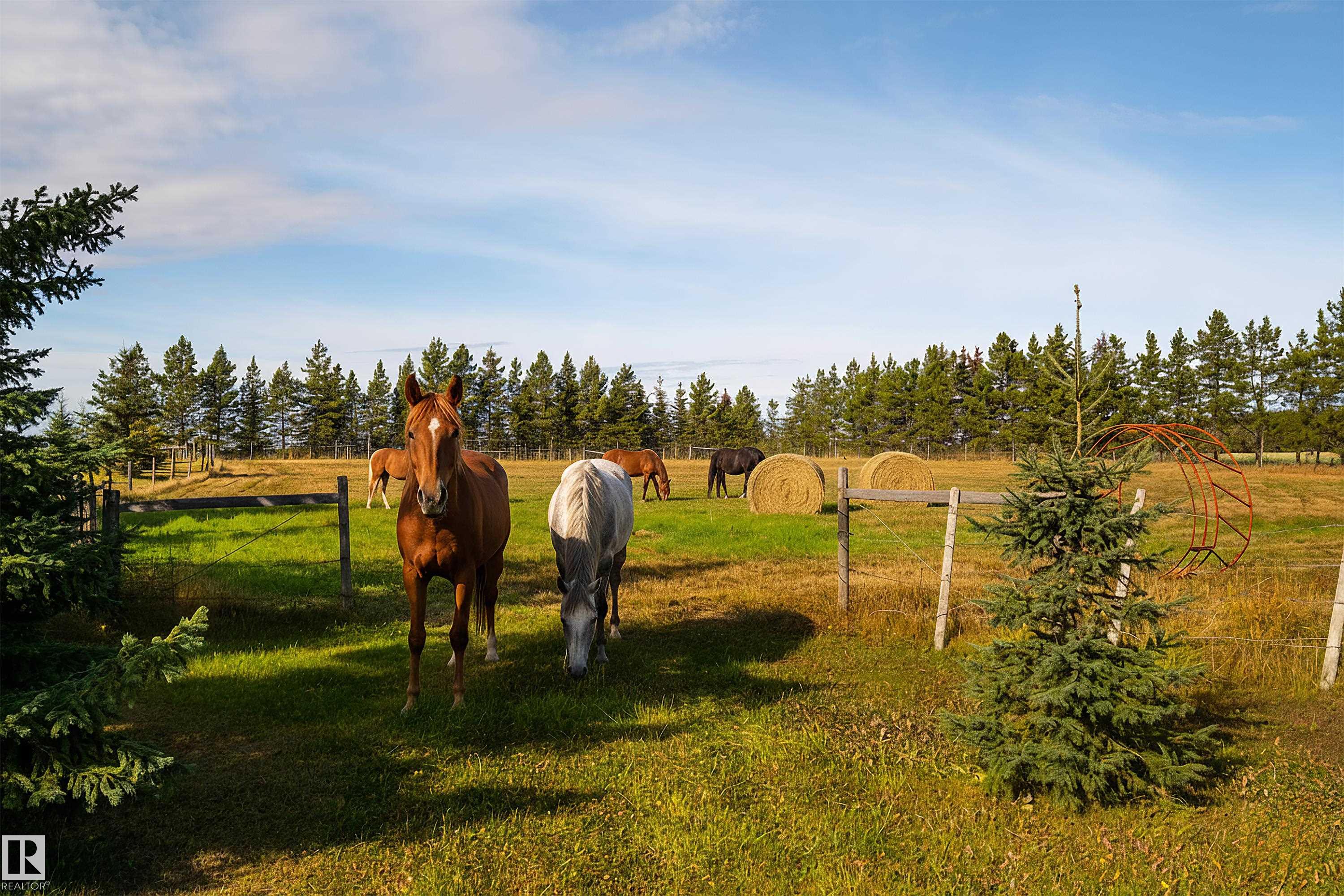 Photo 68 at 48503 Range Road 263, None, Rural Leduc County