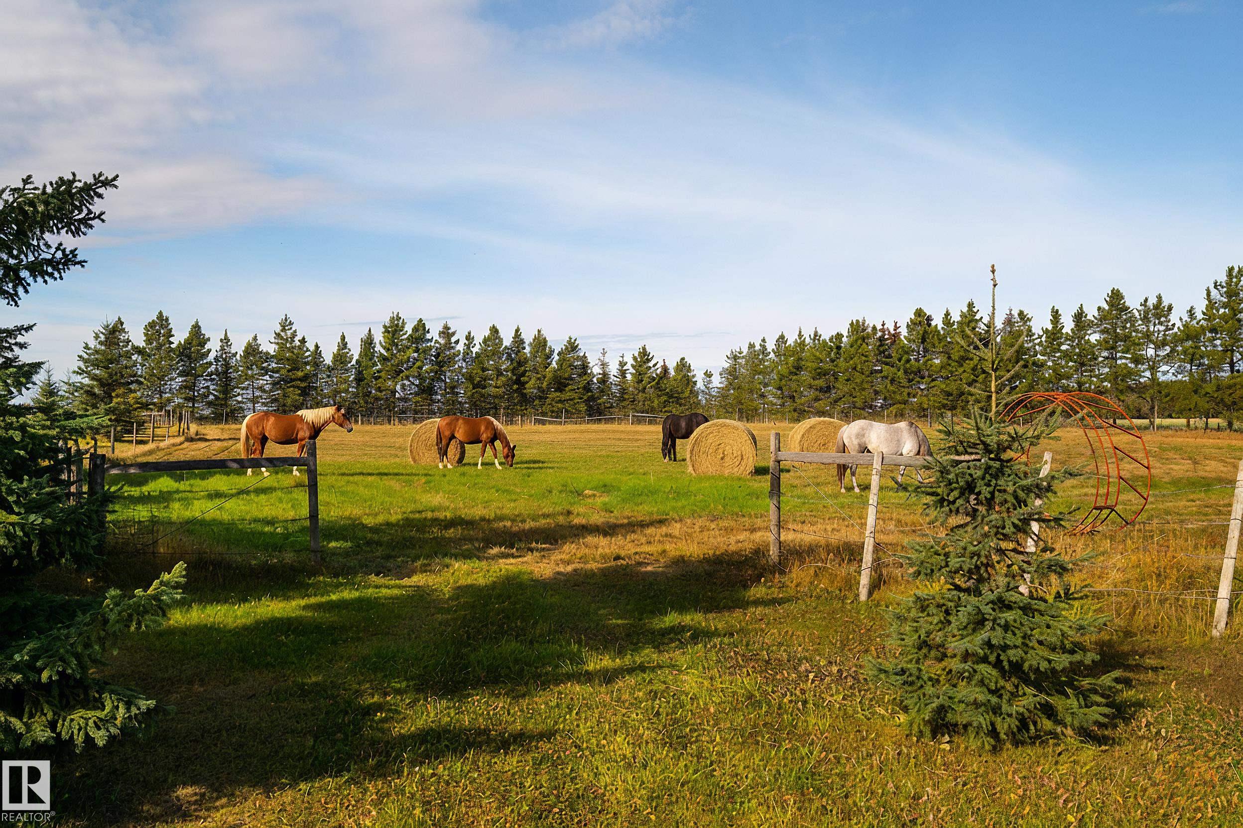 Photo 69 at 48503 Range Road 263, None, Rural Leduc County