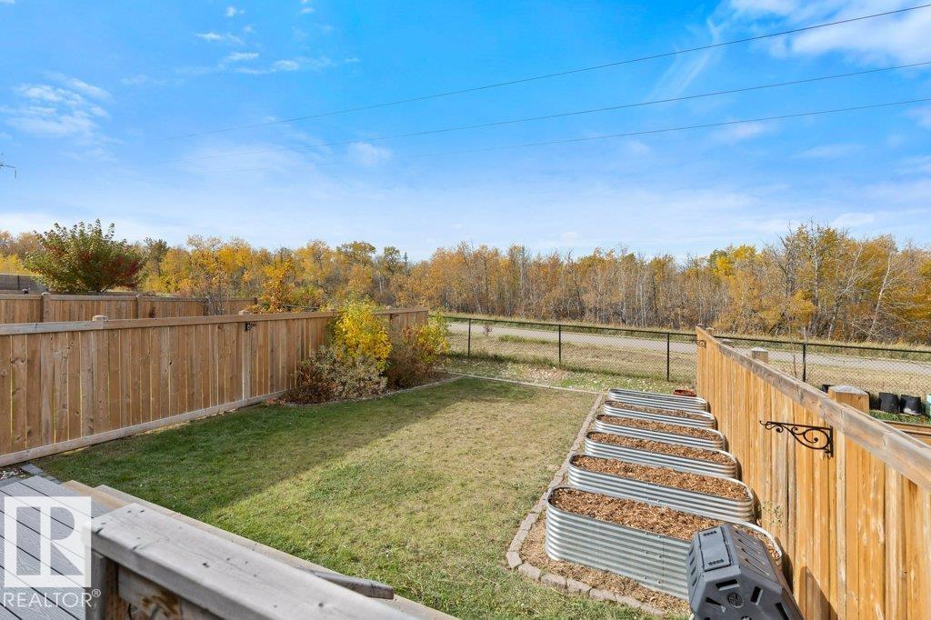 Photo 36 at 3873 Robins Crescent NW, Starling, Edmonton