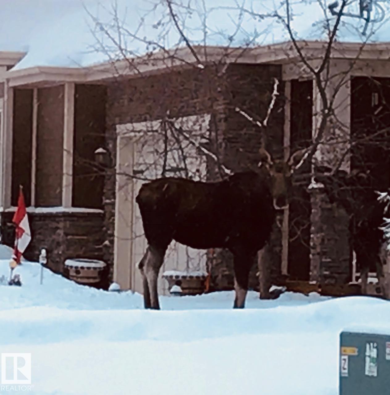 Photo 68 at 334 - 51101 Rge Road 222, West Bear Haven, Rural Strathcona County