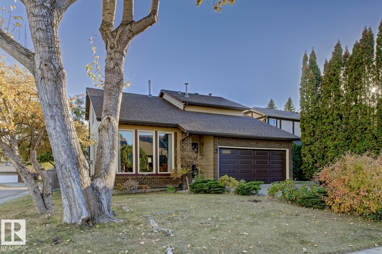 11105 20 Avenue NW, Skyrattler, Edmonton 