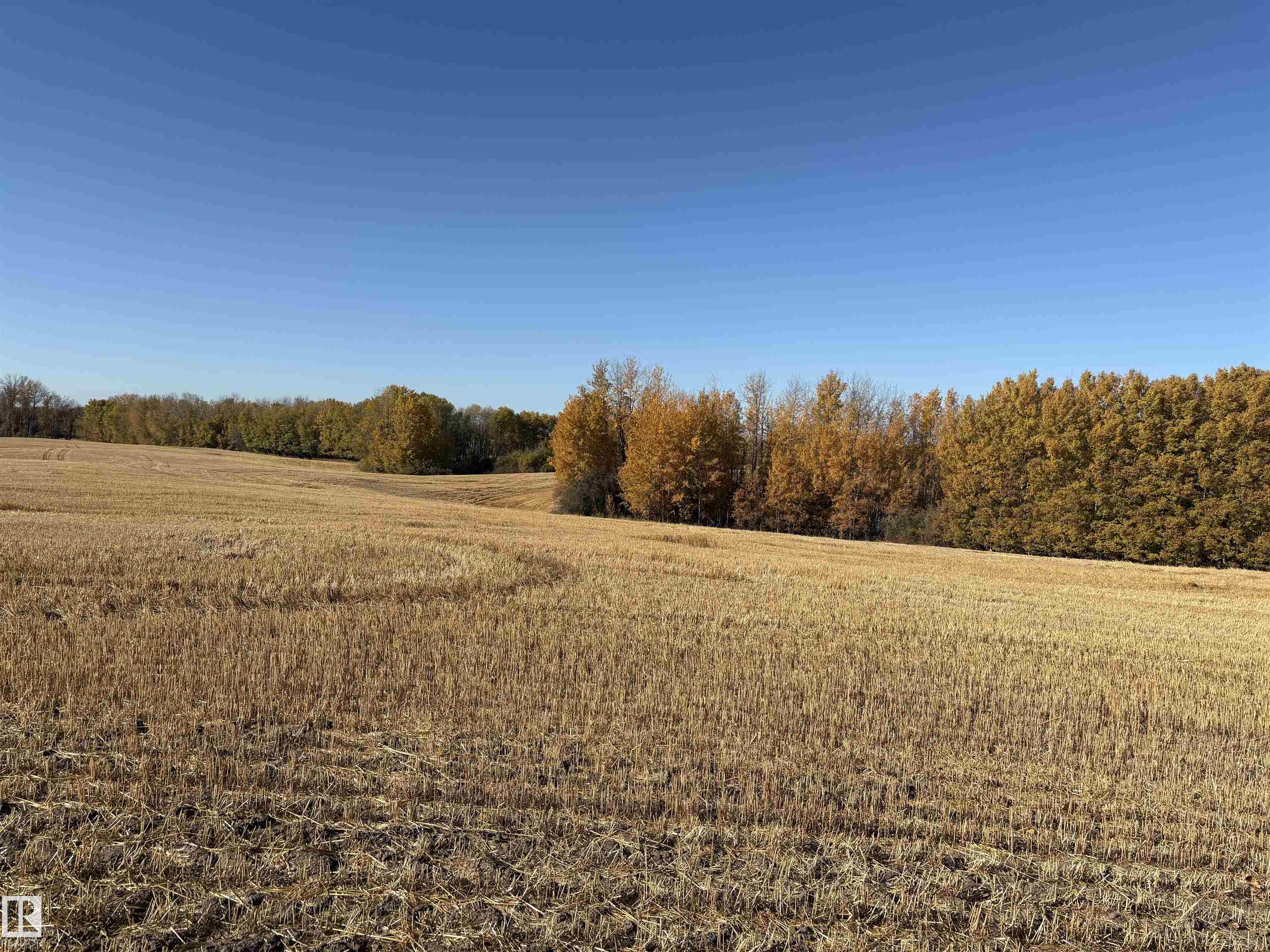 Photo 2 at 53118 Rr22, None, Rural Parkland County