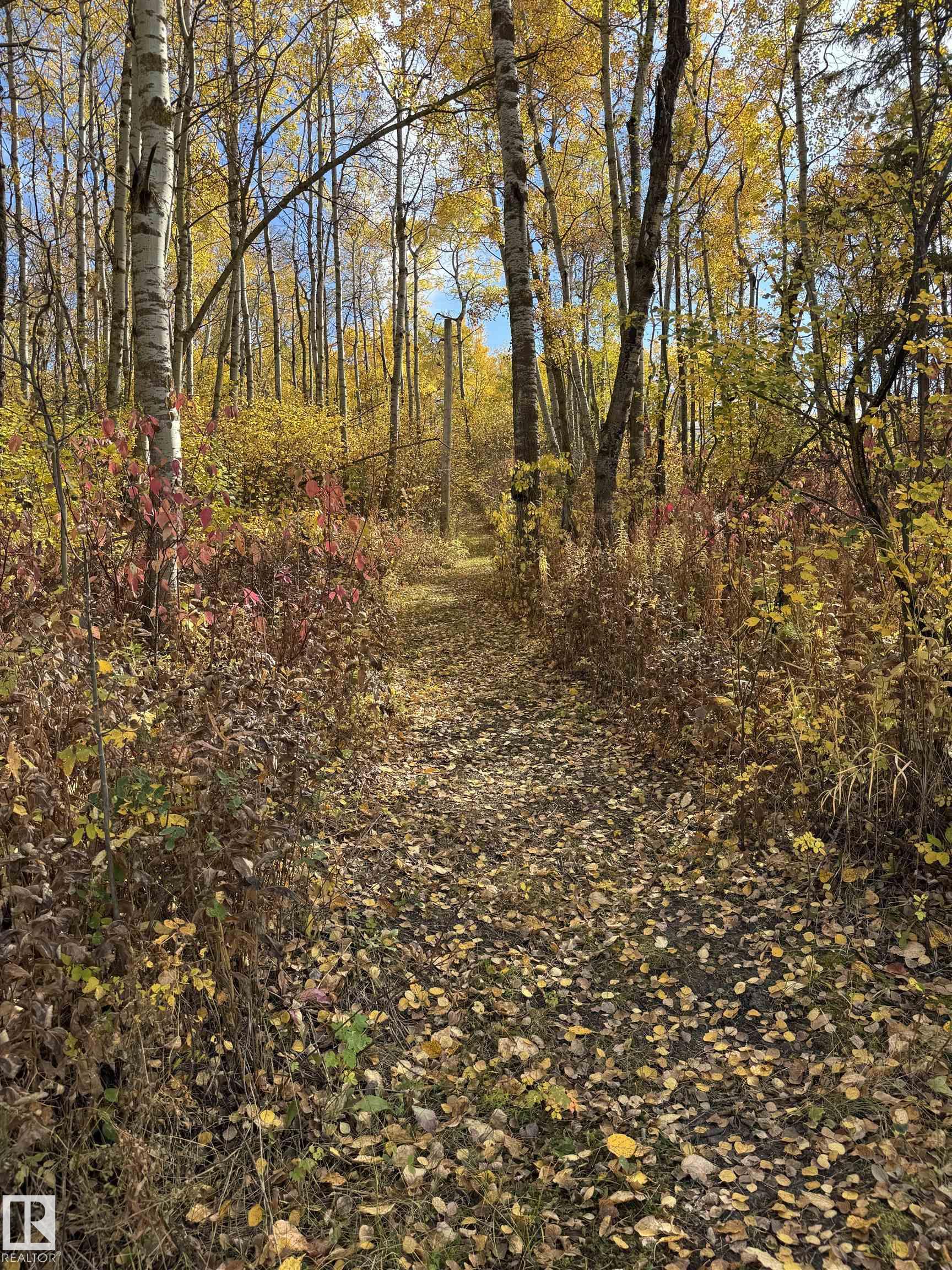 Photo 63 at 23205 Hwy 623, None, Rural Leduc County