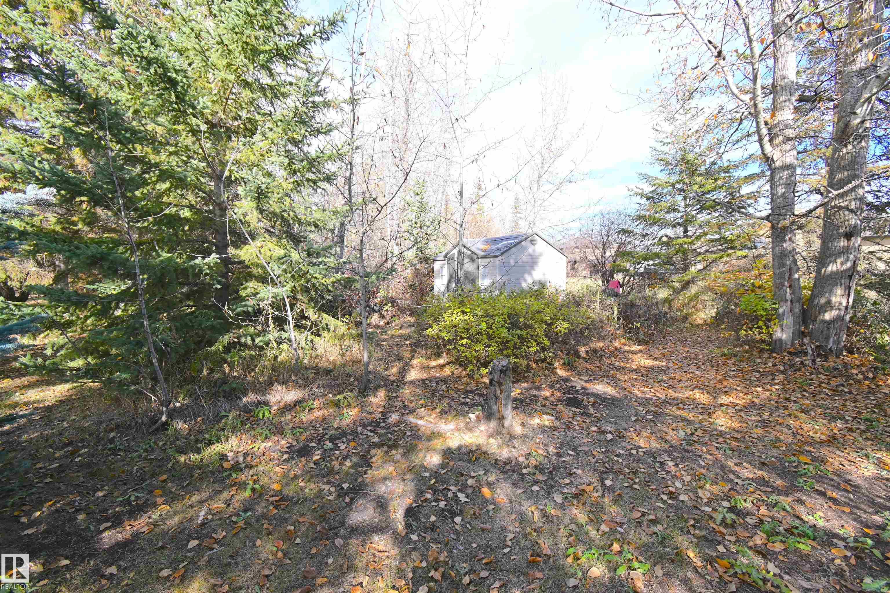 Photo 55 at 86 - 53305 Rge Road 273, Atim Creek Springs, Rural Parkland County