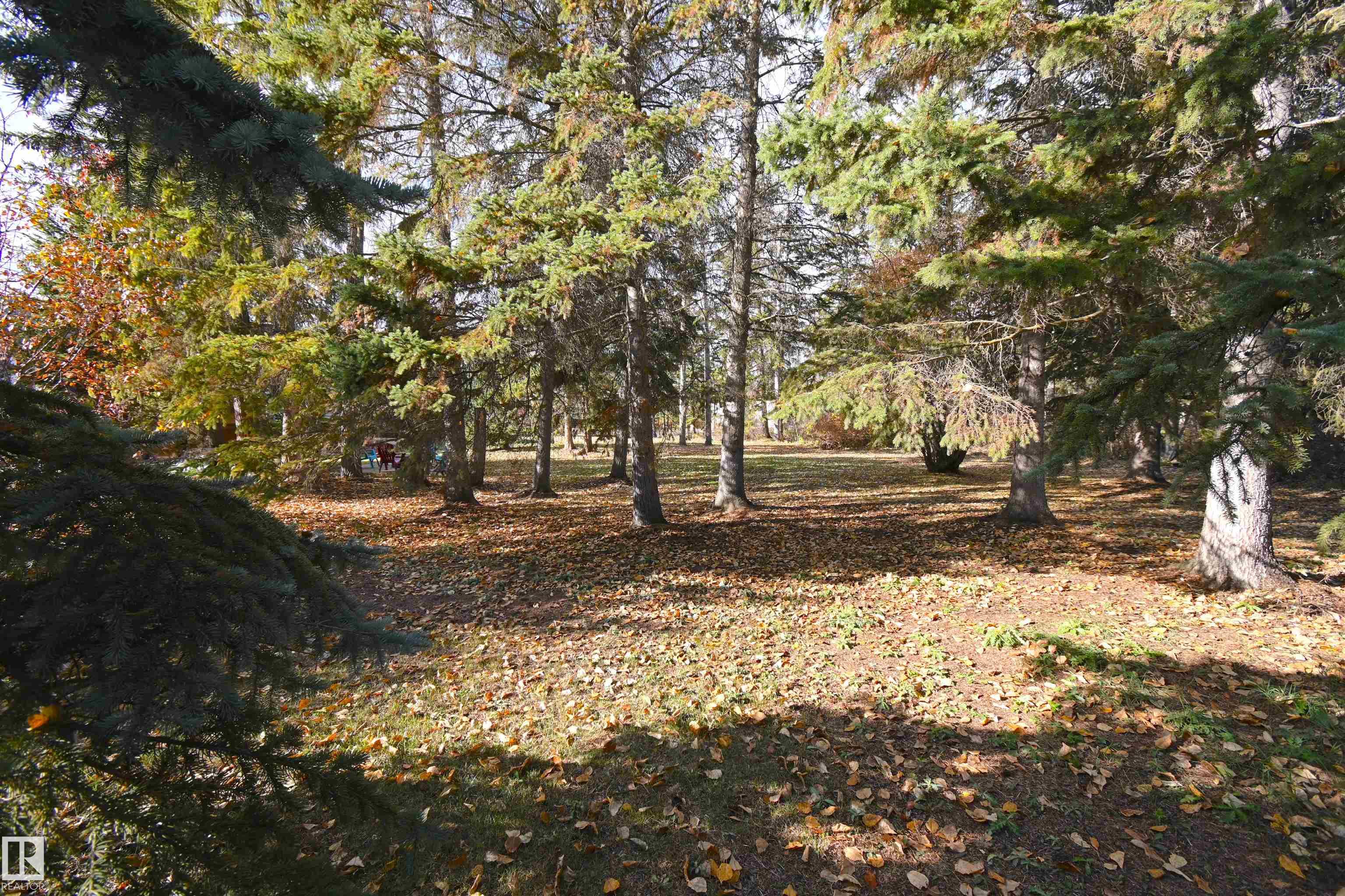 Photo 56 at 86 - 53305 Rge Road 273, Atim Creek Springs, Rural Parkland County
