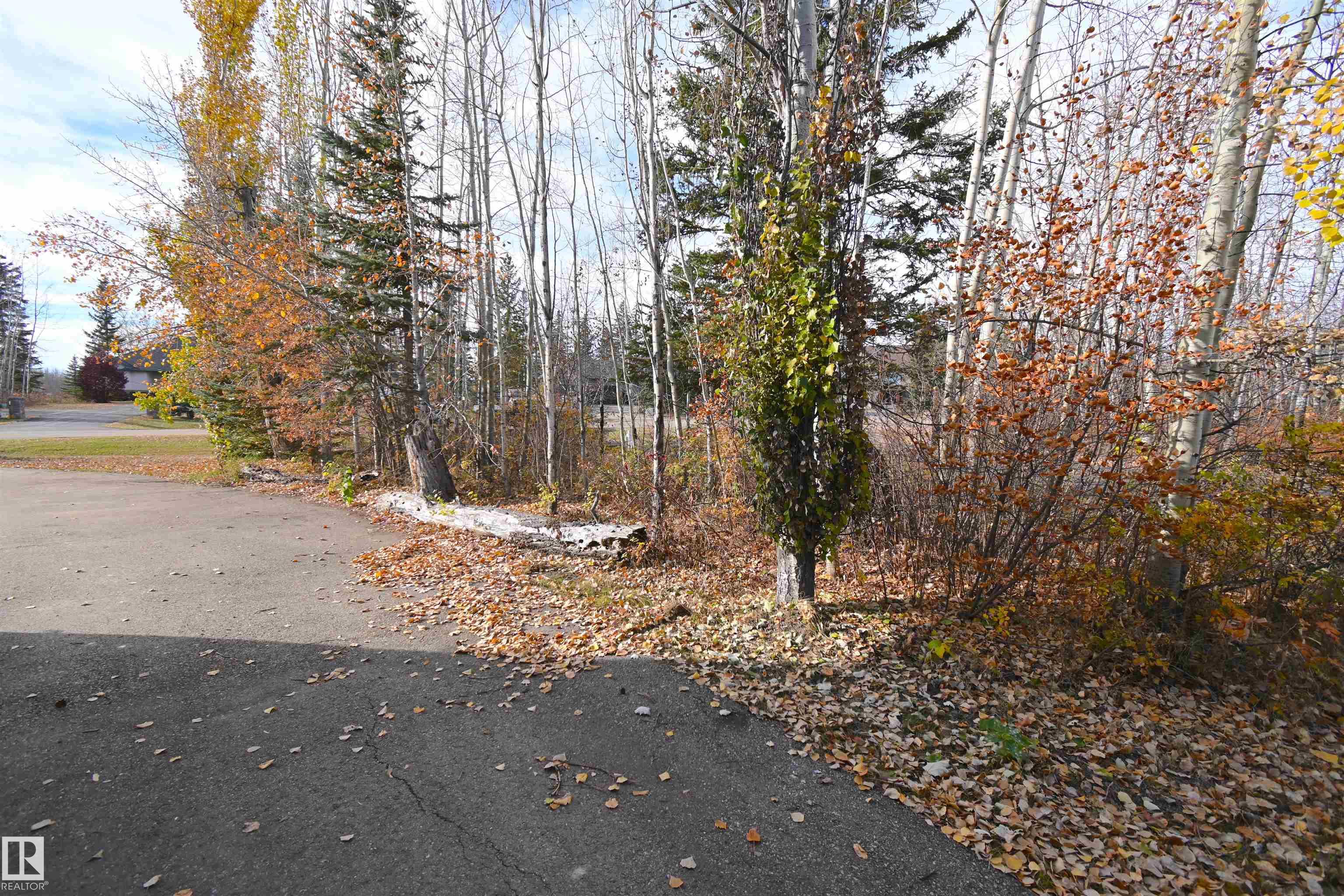 Photo 65 at 86 - 53305 Rge Road 273, Atim Creek Springs, Rural Parkland County