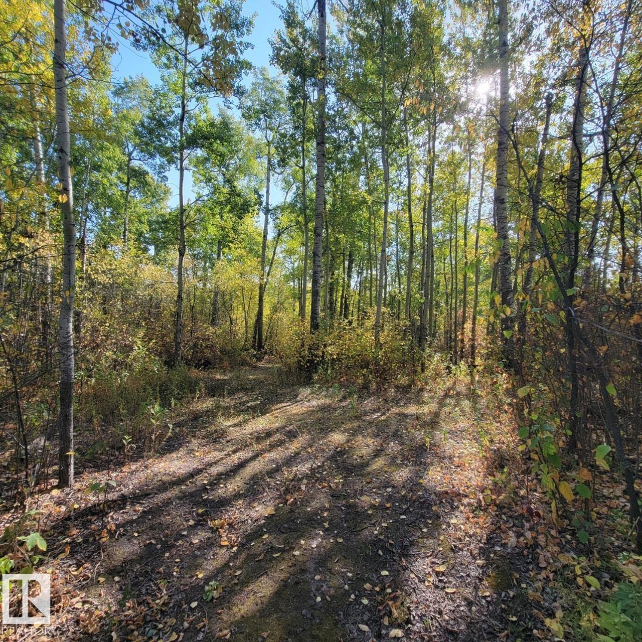 Photo 3 at 30 1307 Twp Rd 540, Chickakoo Estates, Rural Parkland County