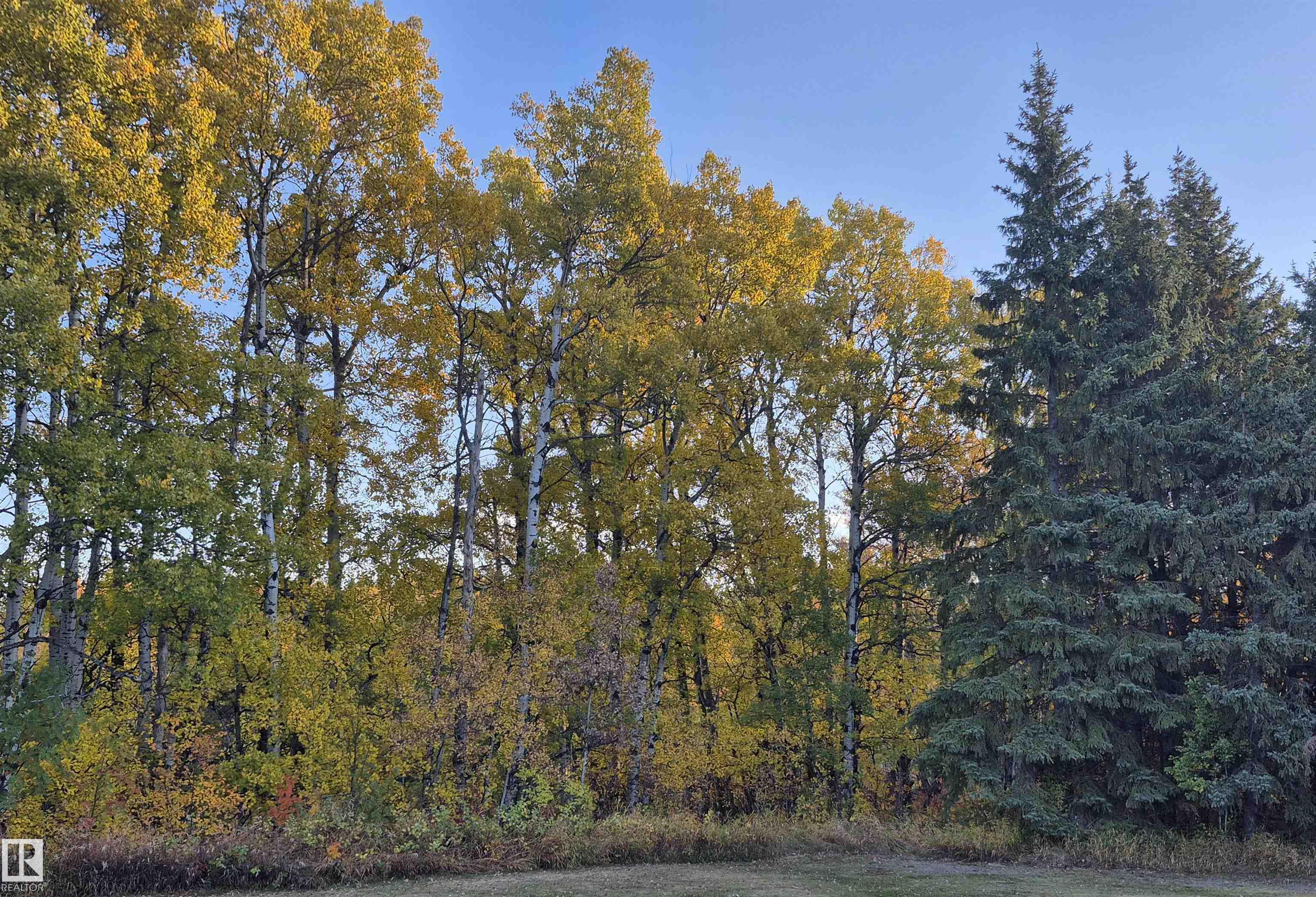 49 - 50322 Rge Road 10, Beau Rand Estates, Rural Parkland County 