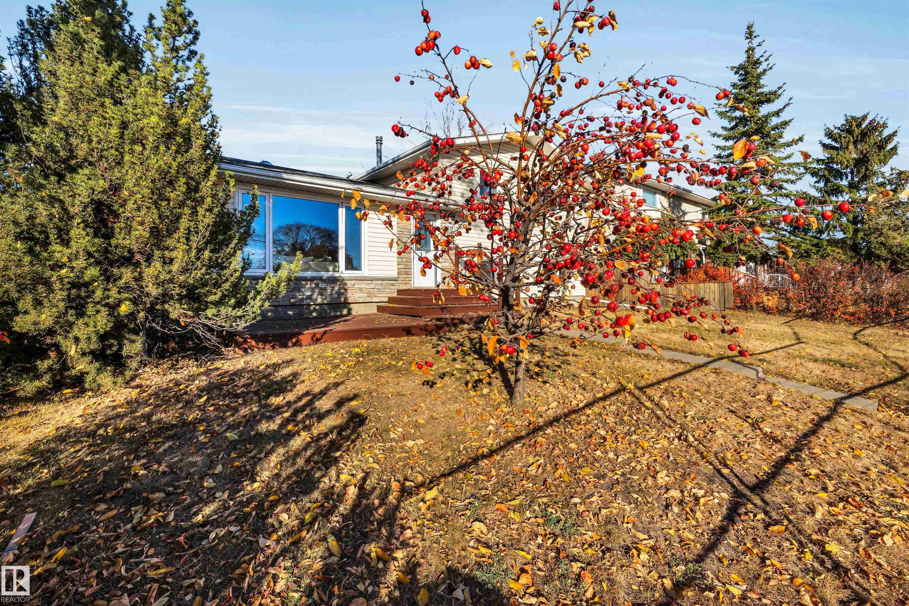 Picture for 16208 87 AV NW