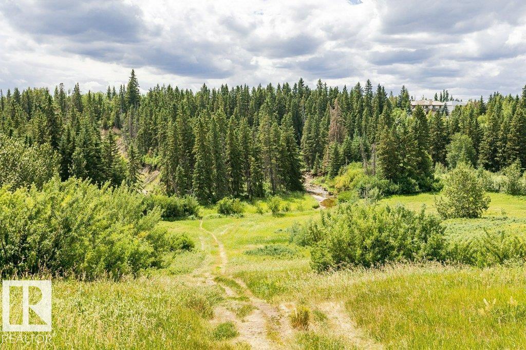 Photo 71 at 1051 109 Street NW, Bearspaw, Edmonton