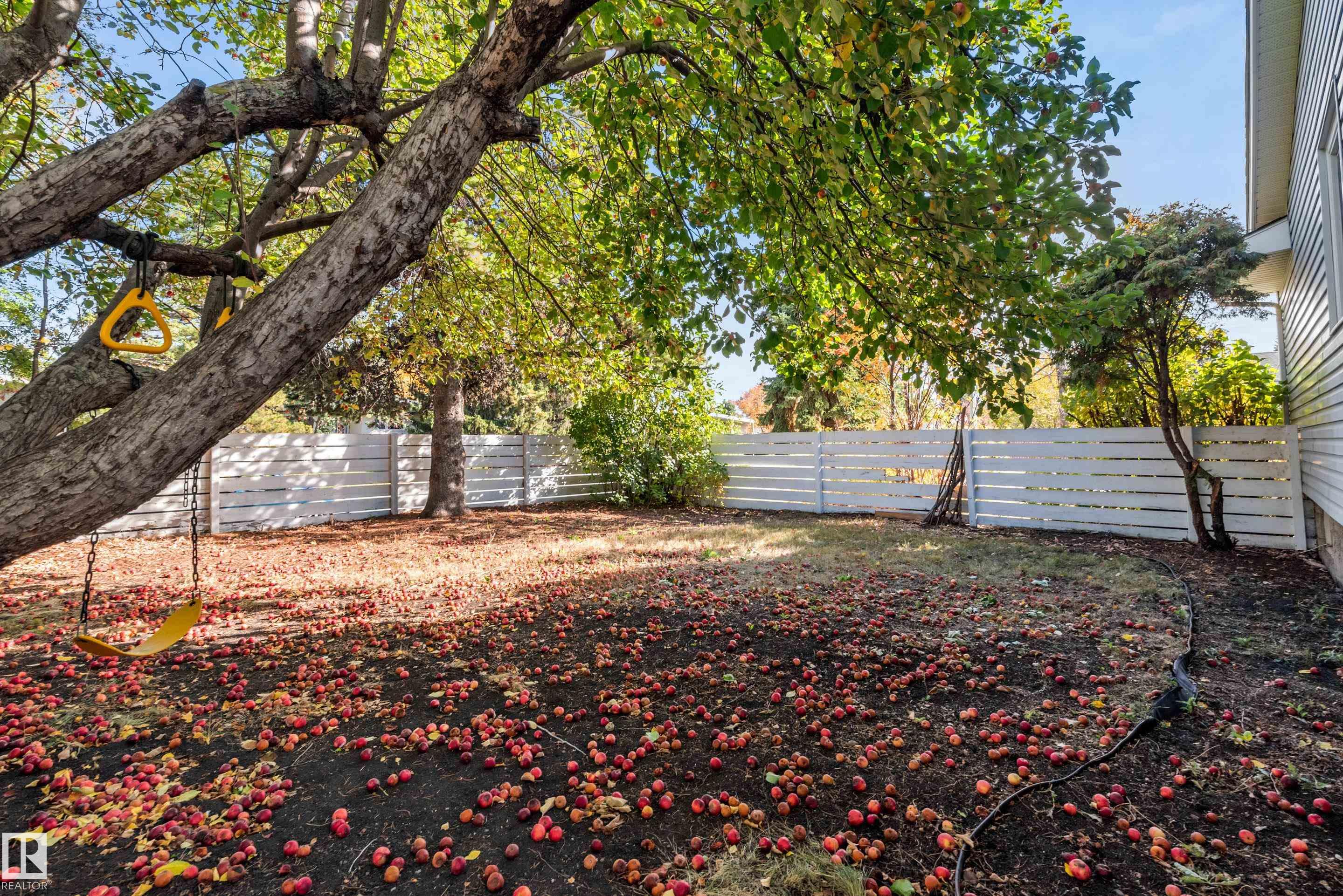 Photo 49 at 7104 95 Avenue NW, Ottewell, Edmonton