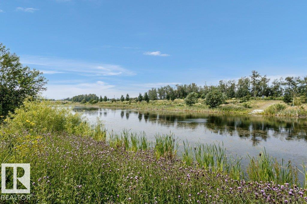 Photo 65 at 20916 131 Avenue NW, Trumpeter Area, Edmonton